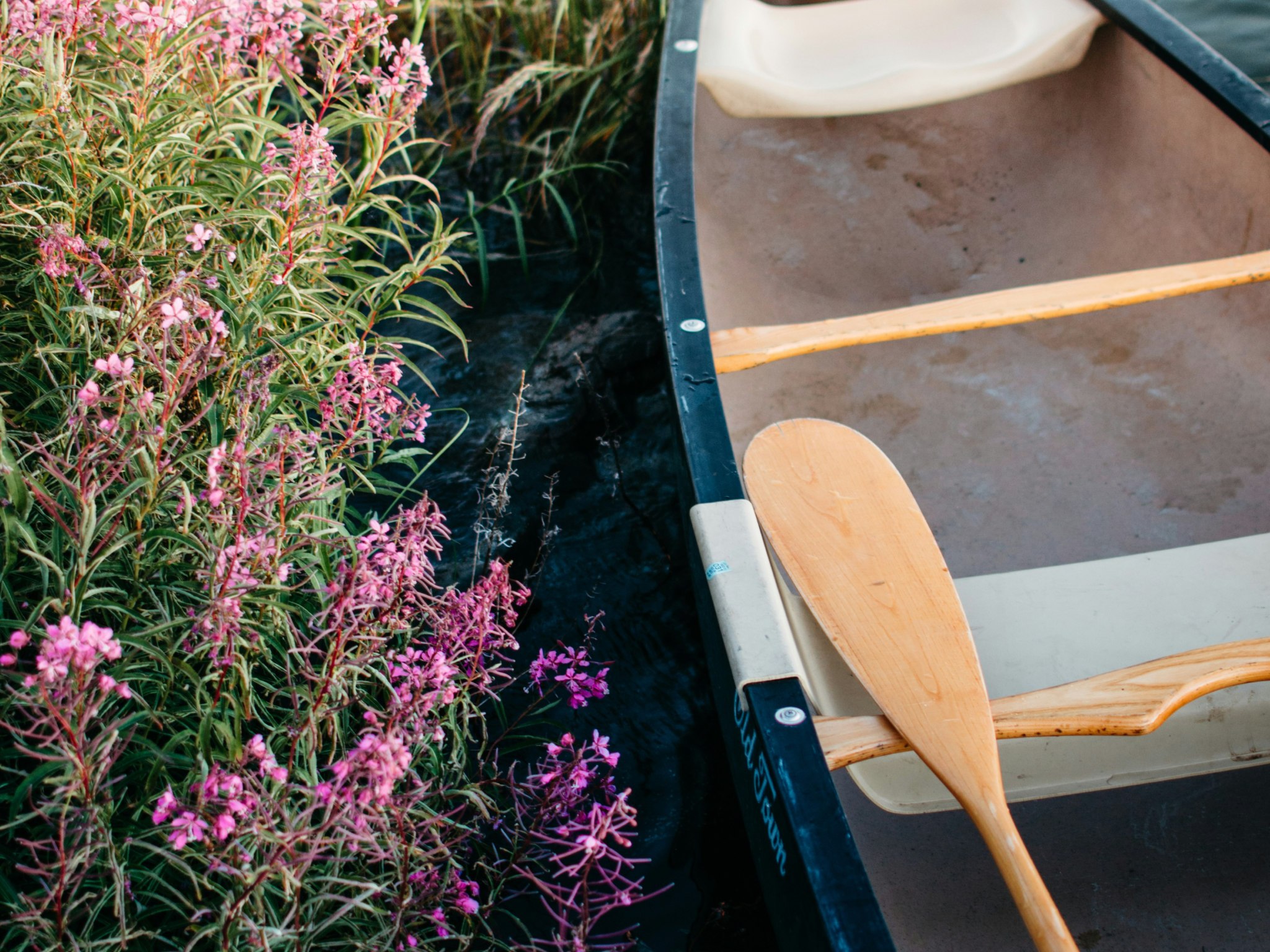 Cover photo for Isle Royale National Park