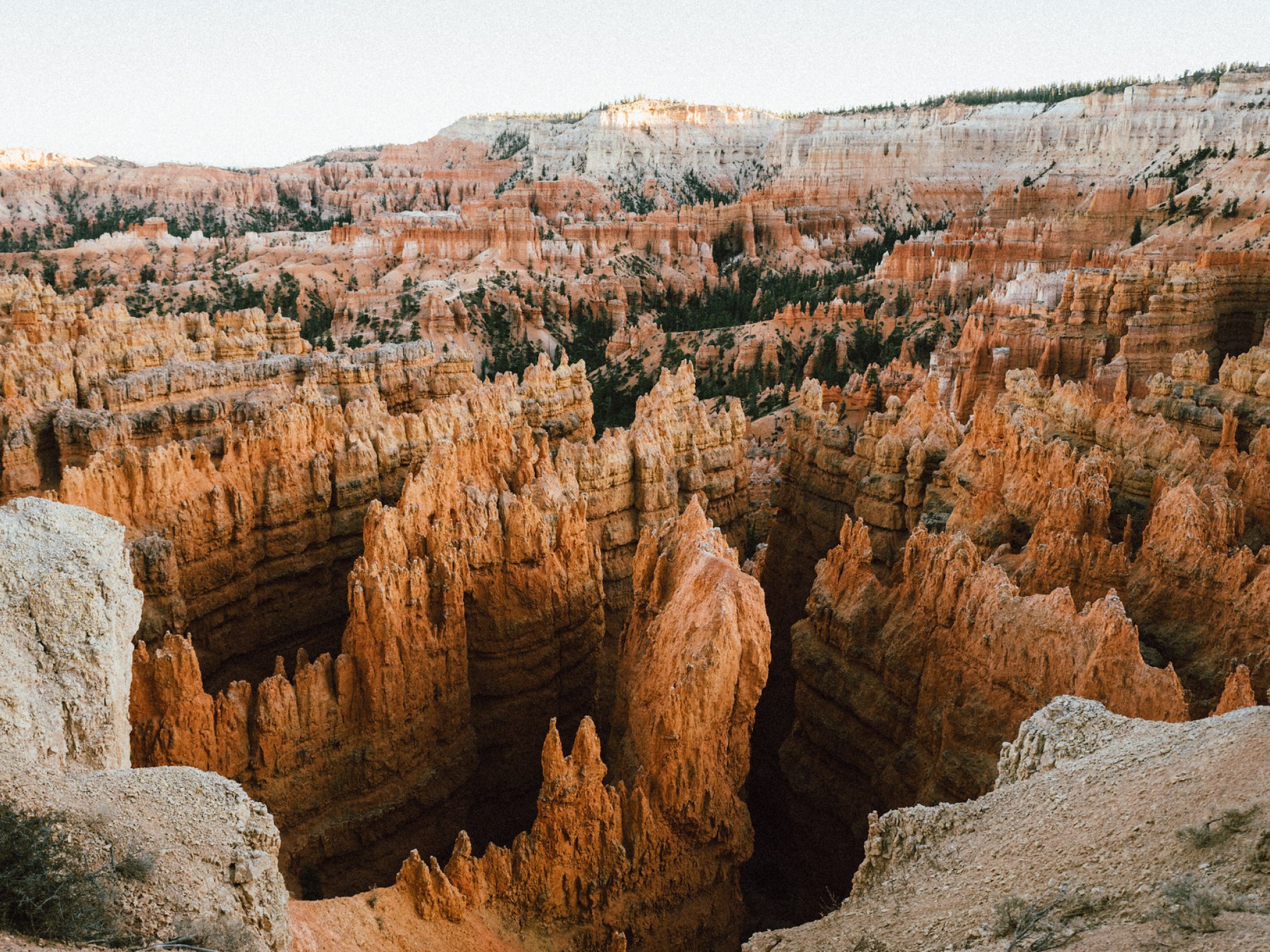 Cover photo for Bryce Canyon National Park