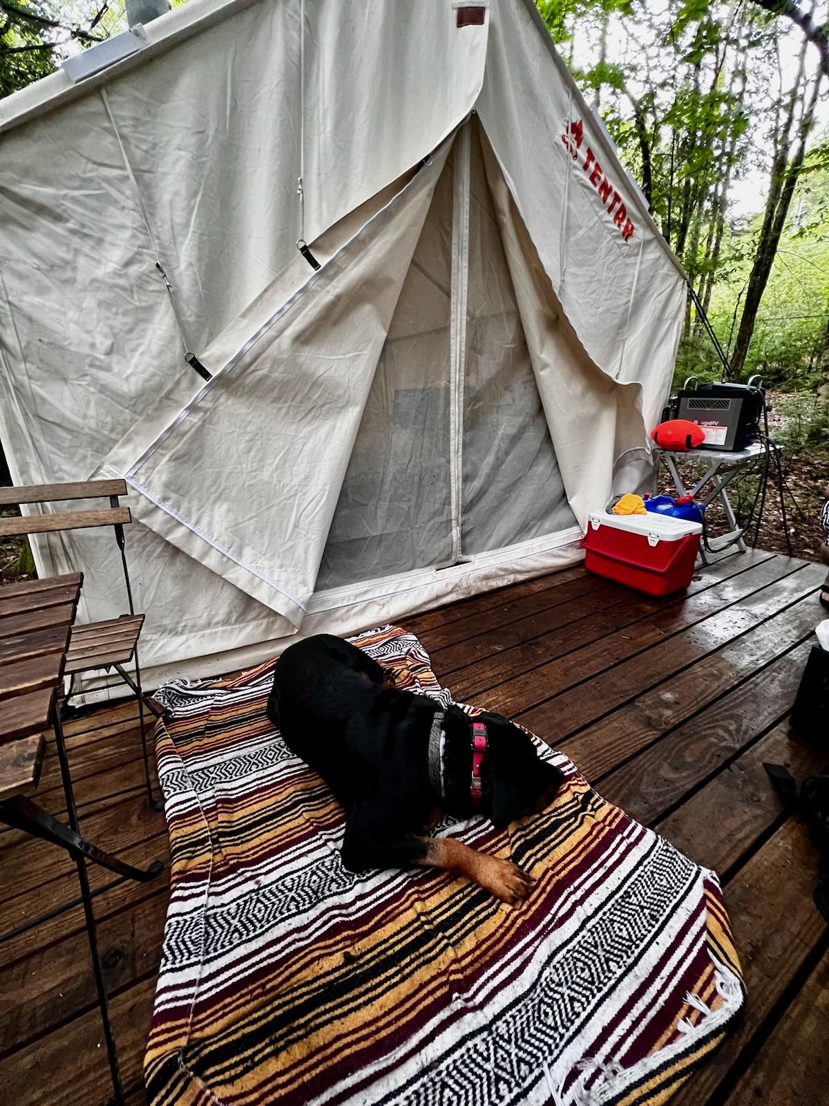 Flag Hill Farm And Forest