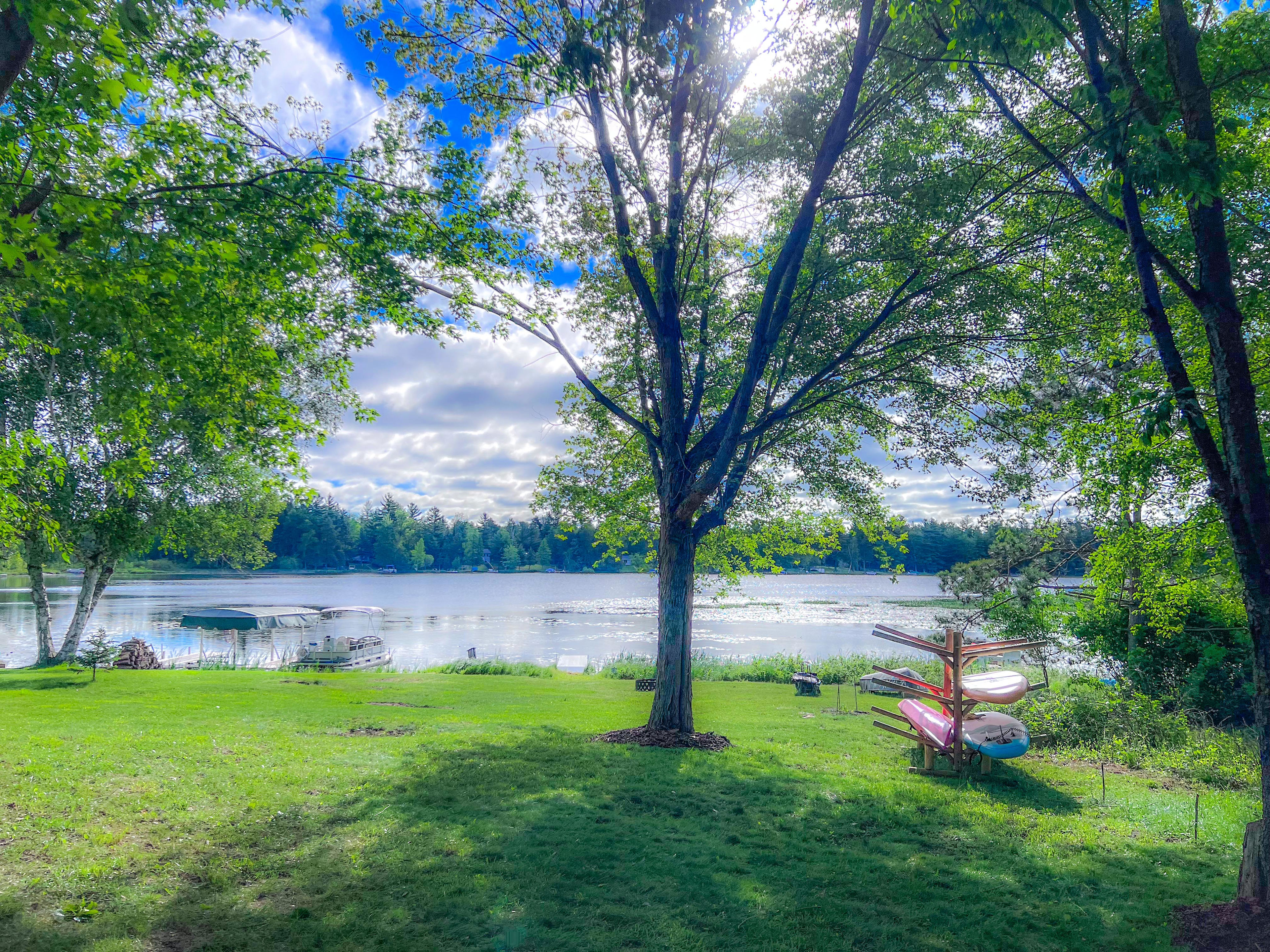 Yard with toys - small spruce tree on the left marks the property line.