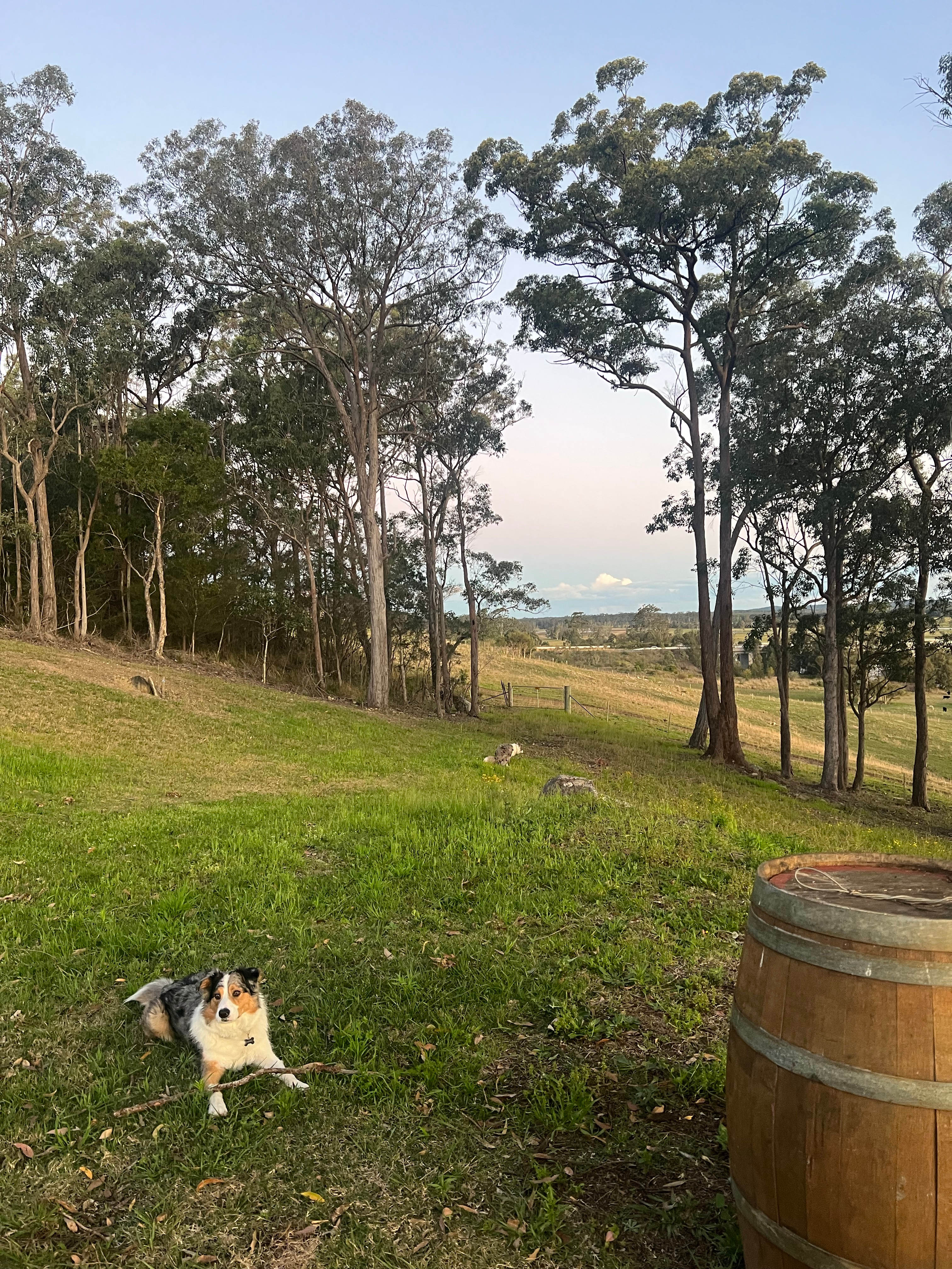 Myall View Hideaway