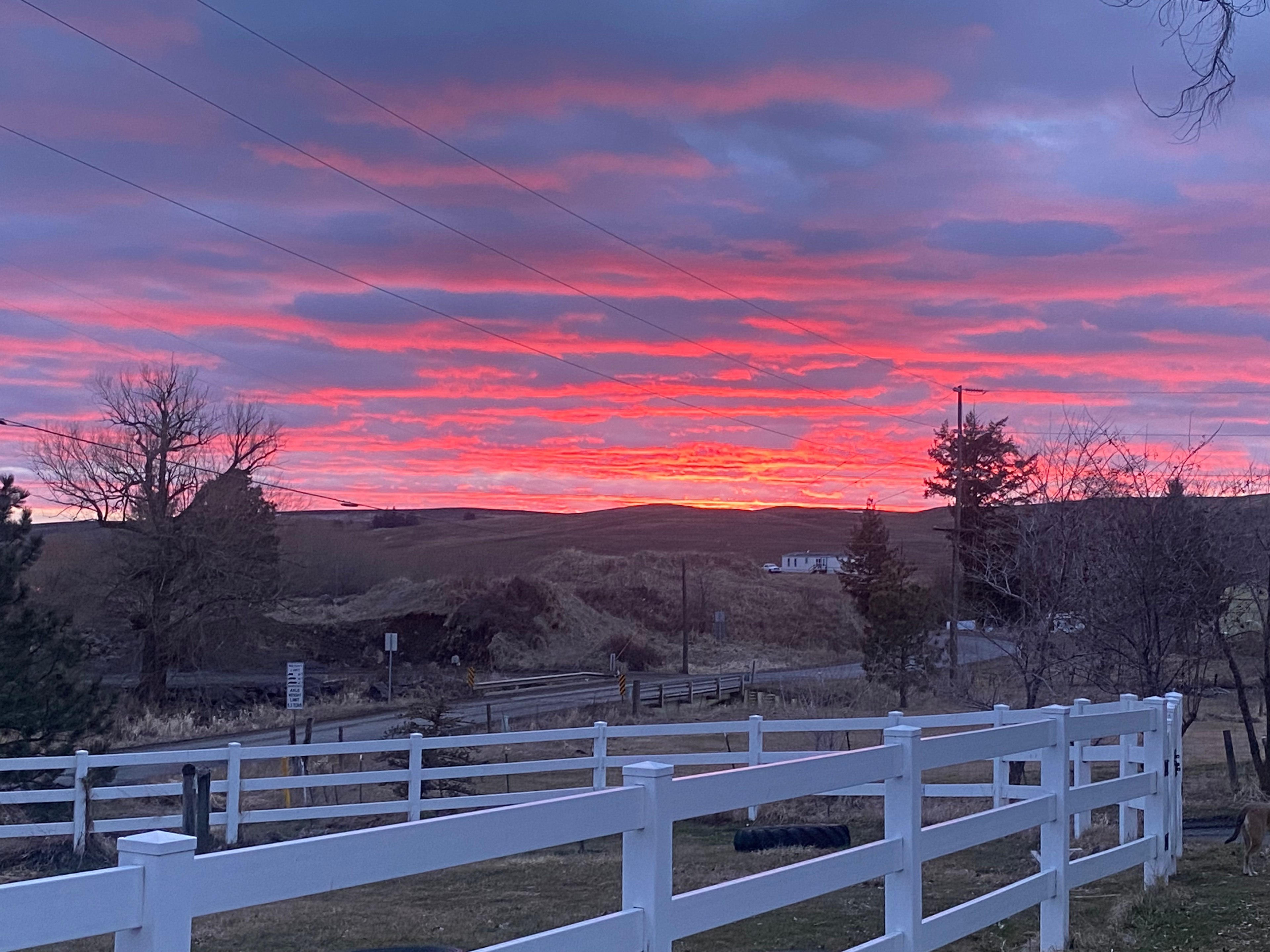 Triple Tree Ranch