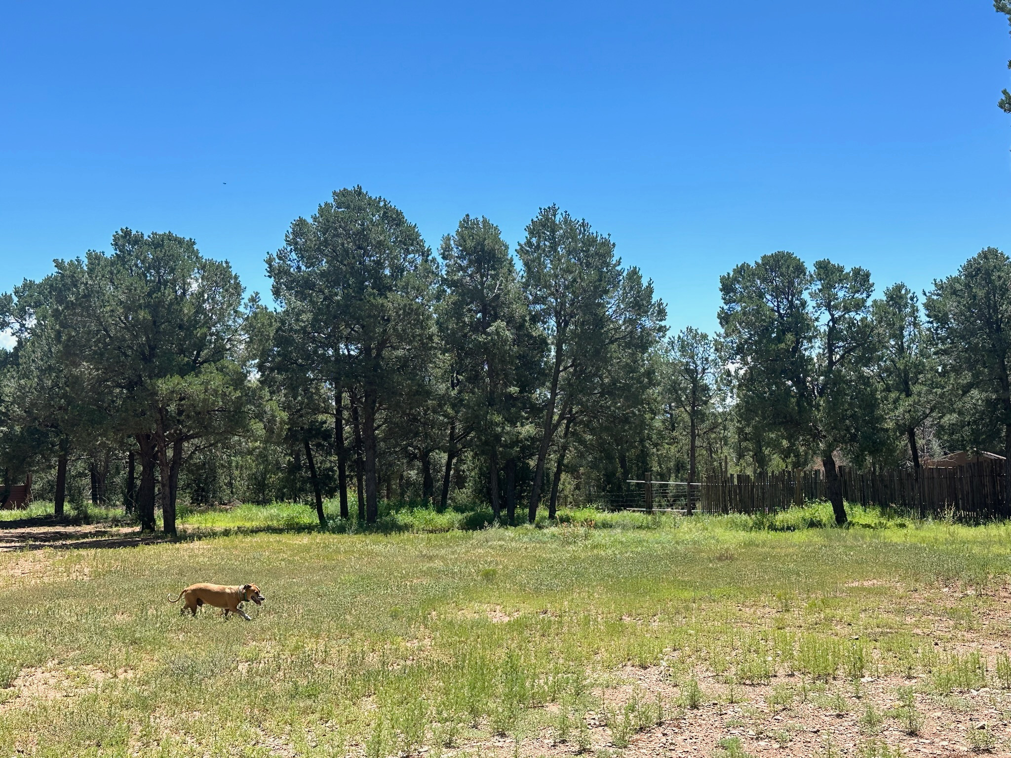 Edge Of The Woods Camping