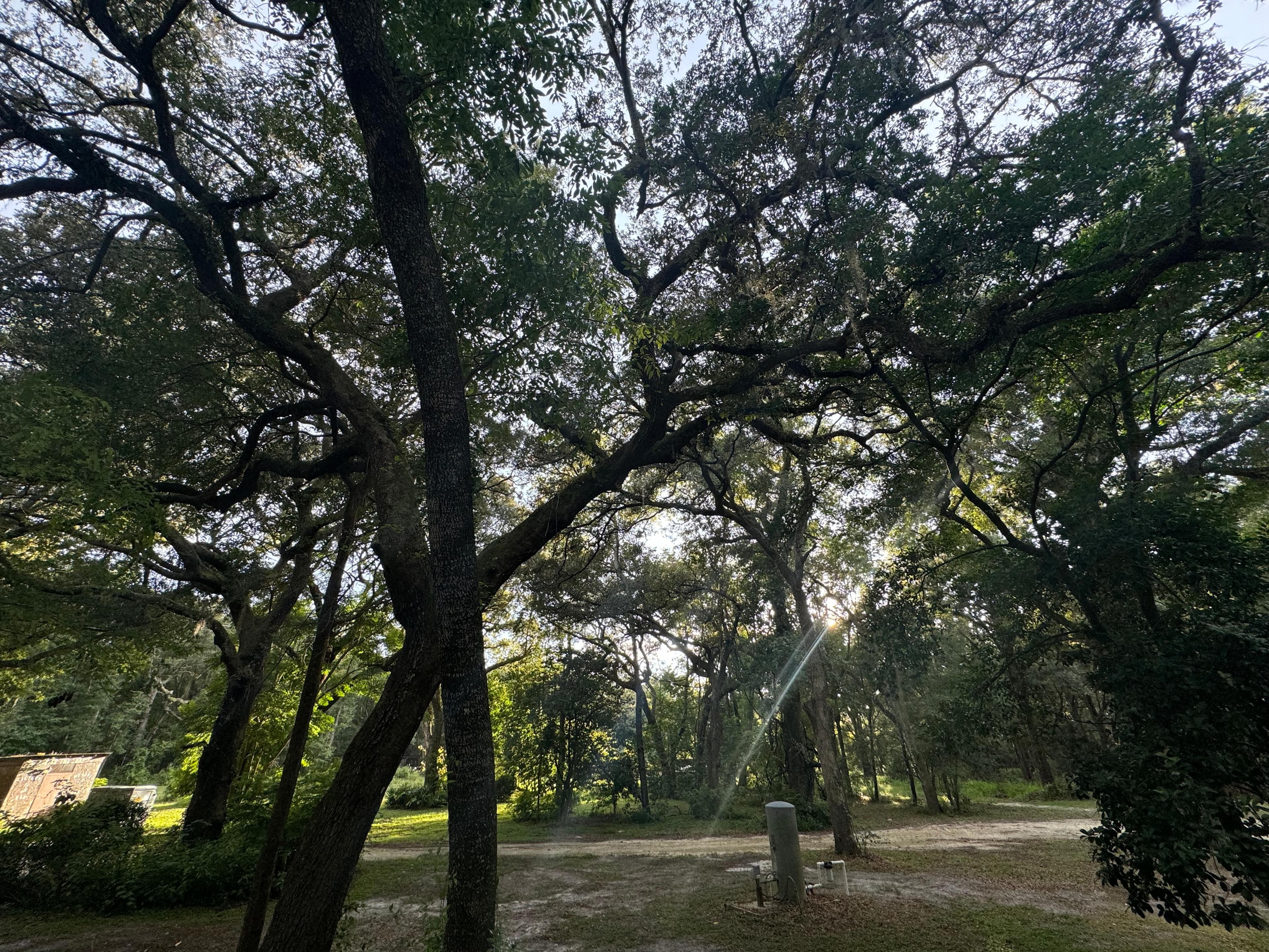 Rustic Oaks RV Park, LLC