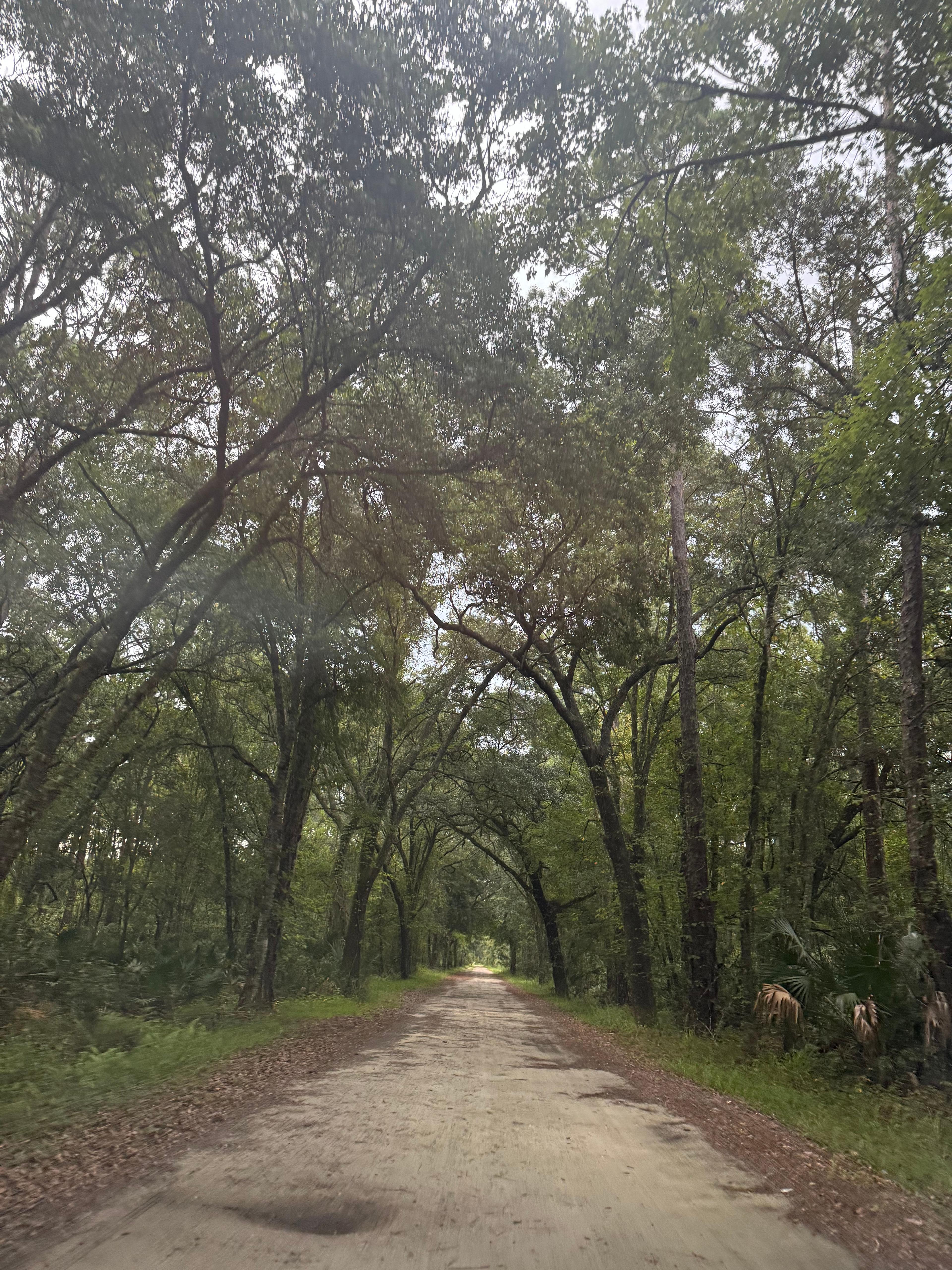 The camps at tiger bay