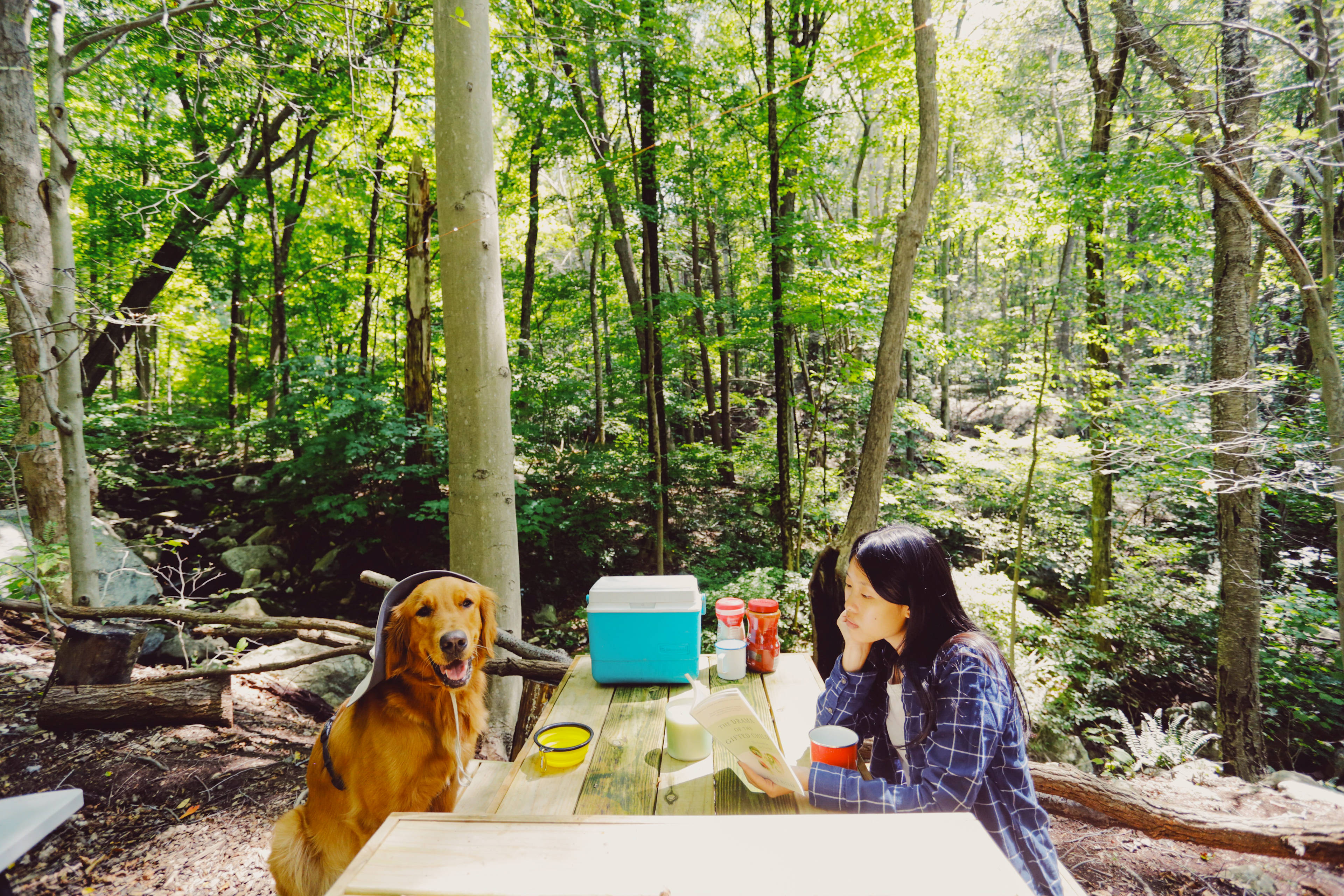 Hunterbrook Mountain