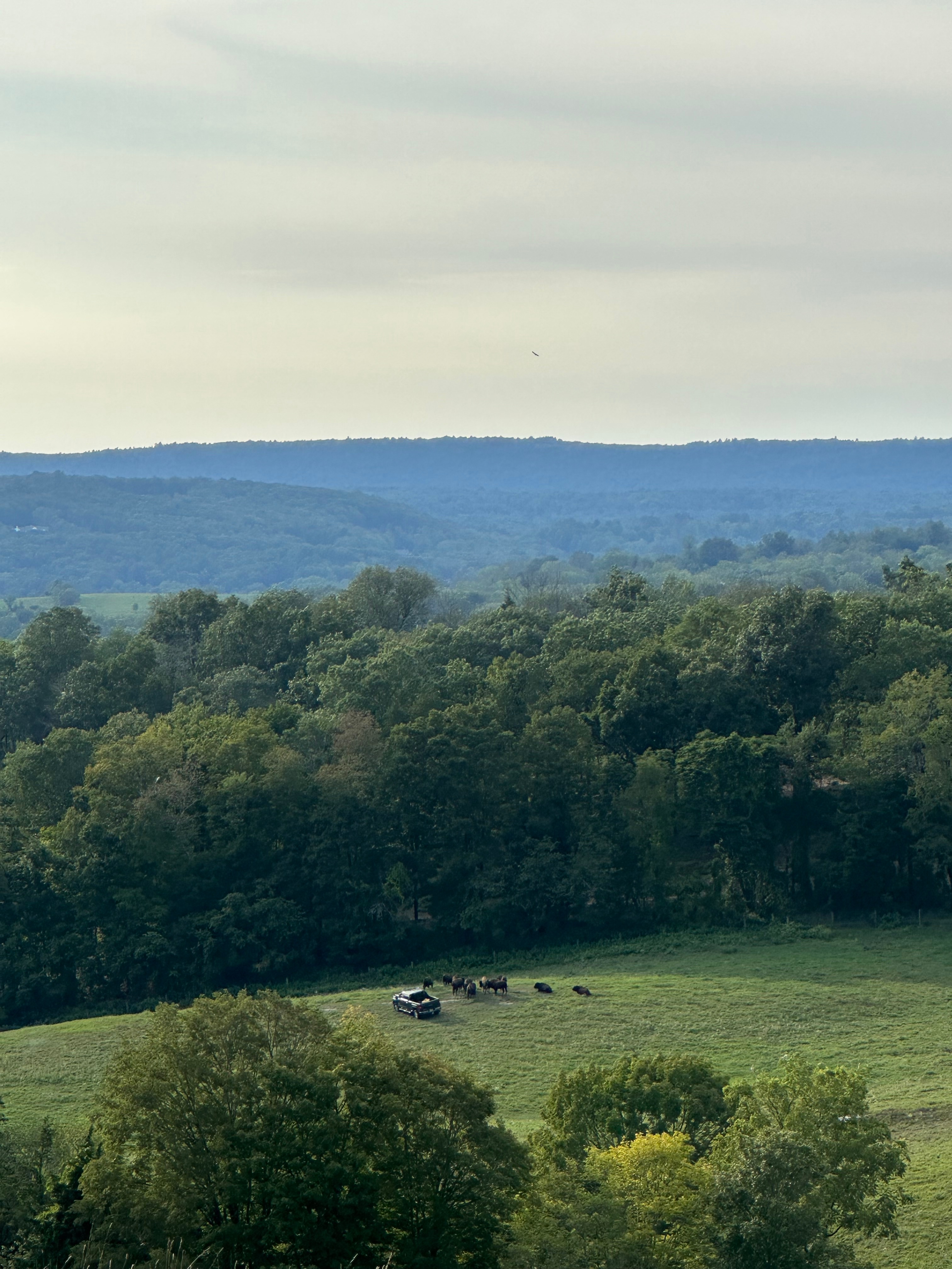 Ash to Oak Farm