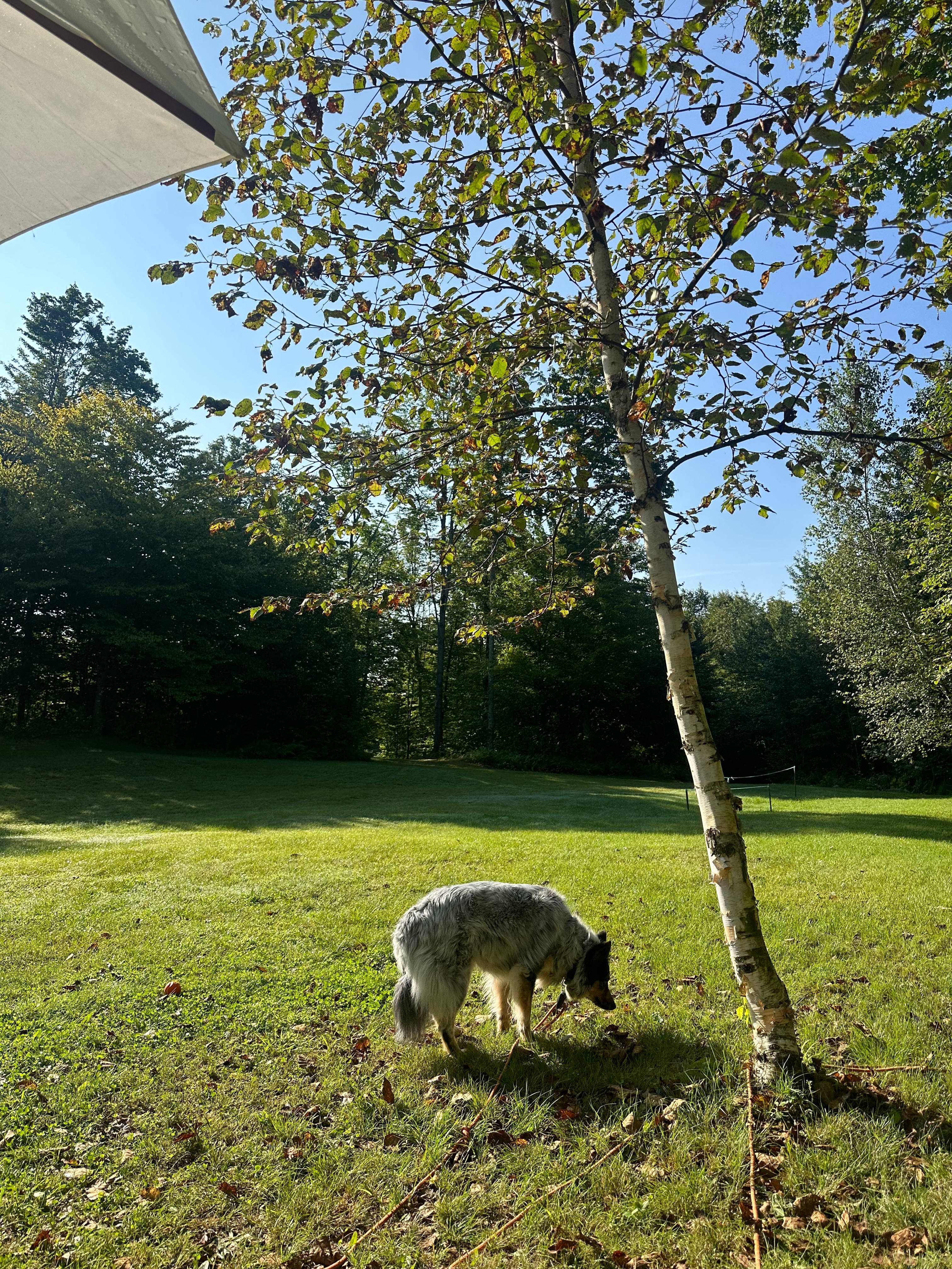 Bumpa's Camp - experience true VT!