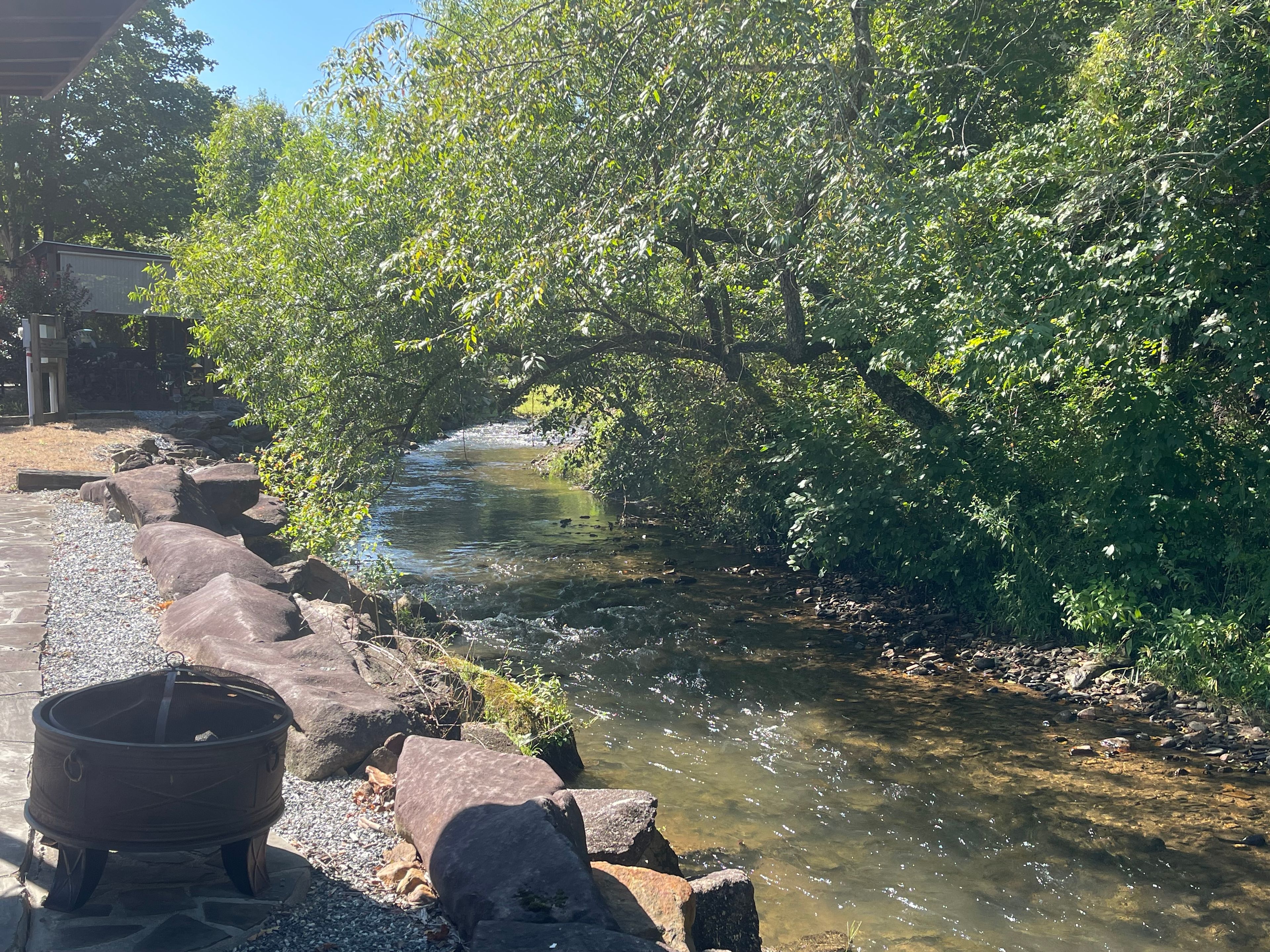 Creek view at the site 