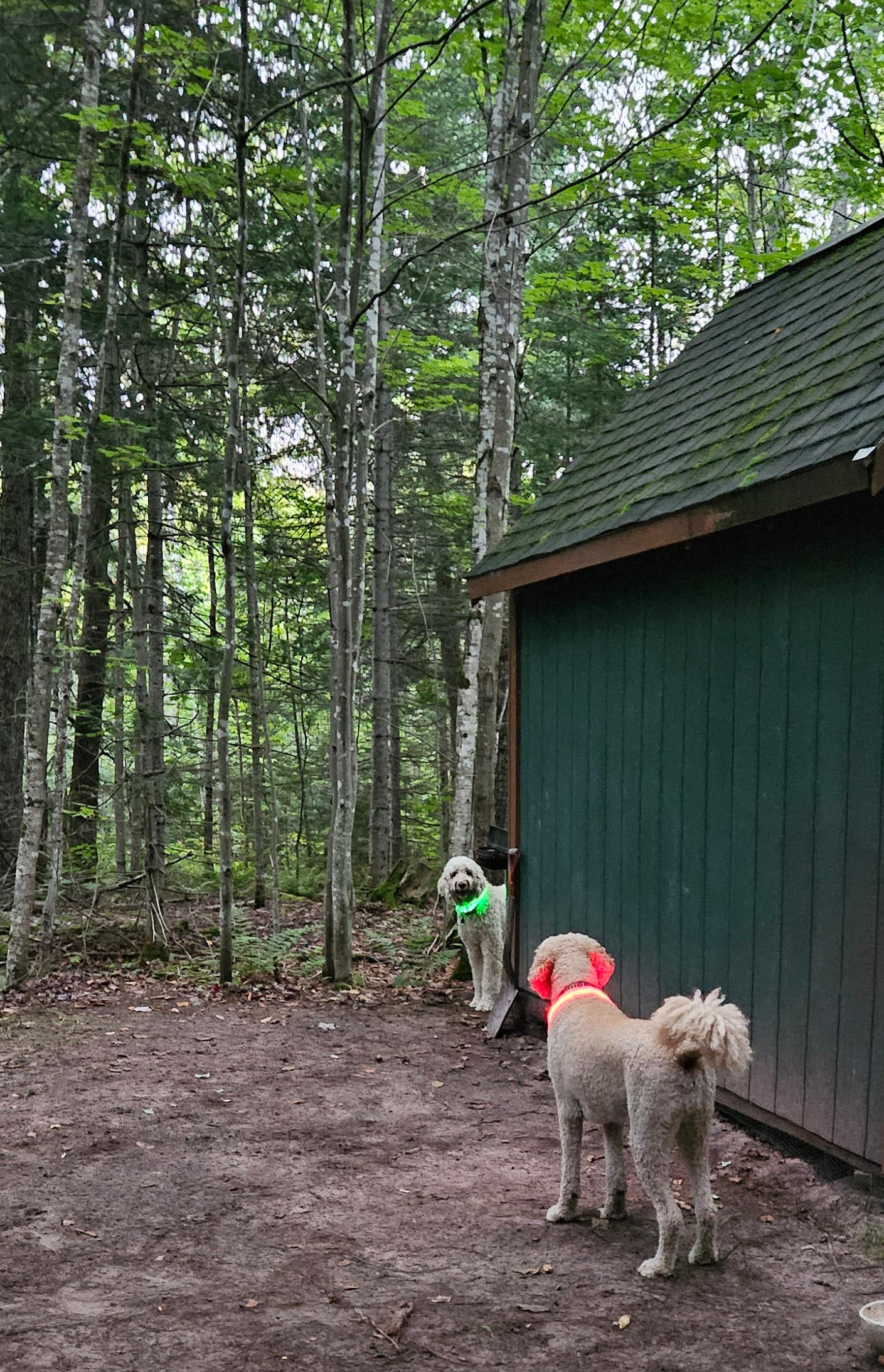 Wilderness Haven near Marquette Mi