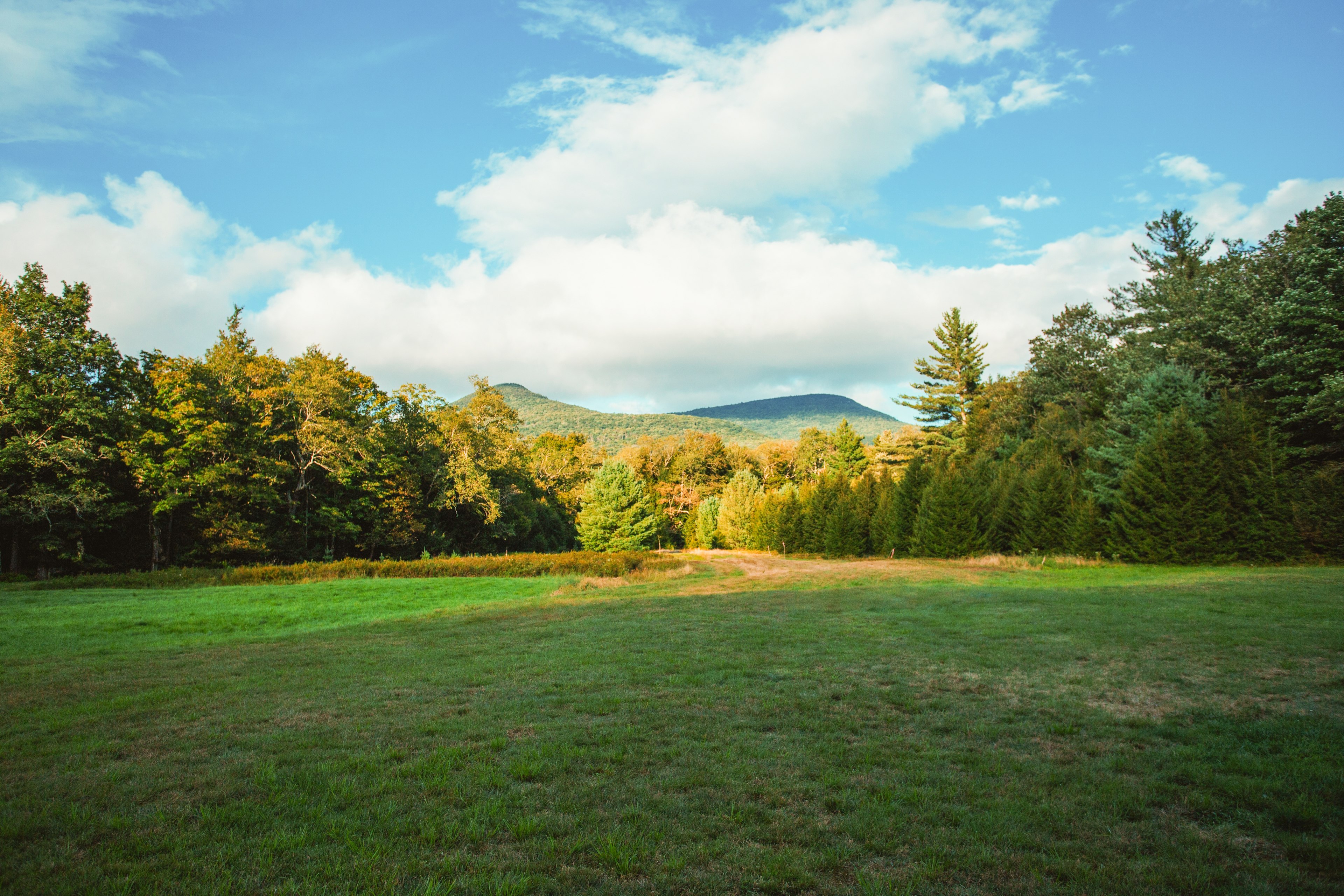 High Peak Meadows