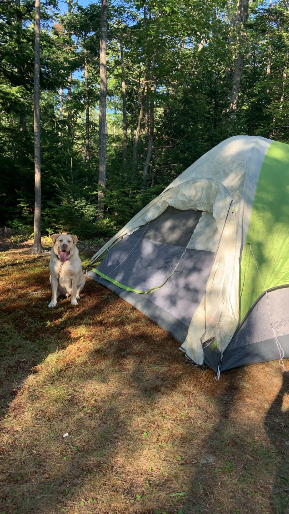 Red Rock Retreat Campground