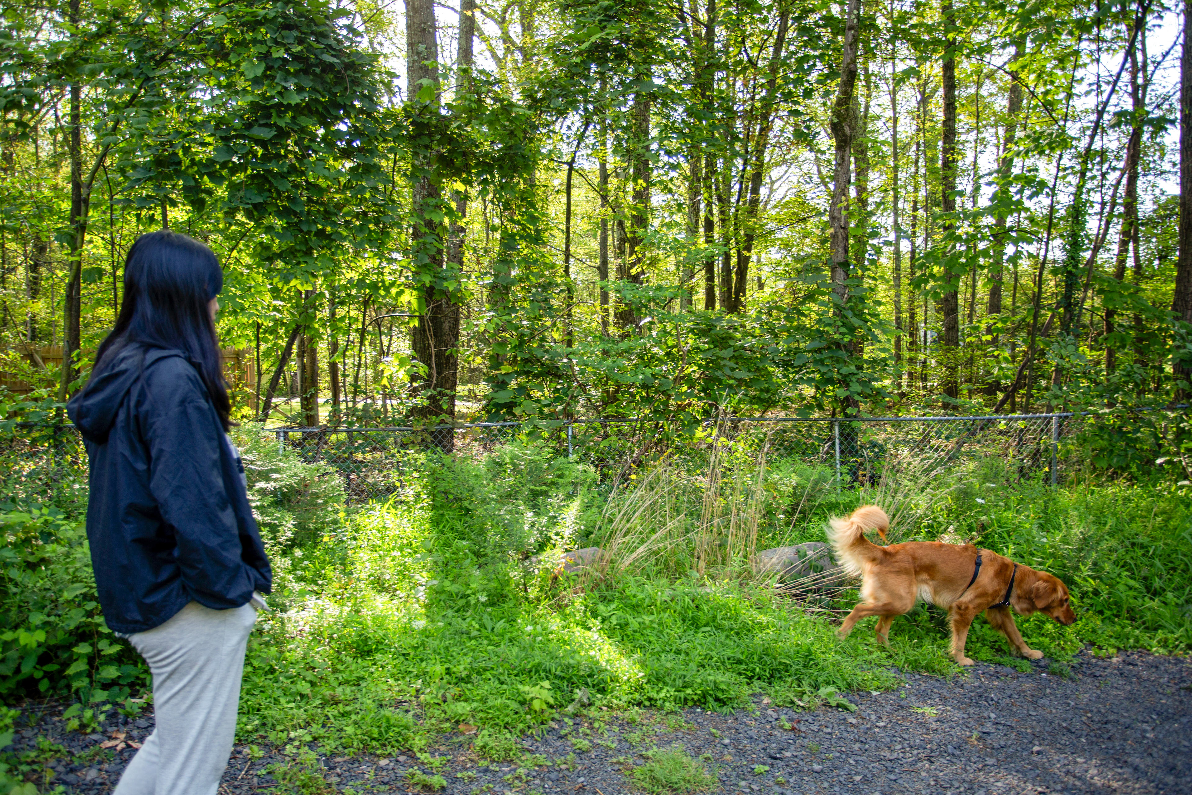 Hudson Getaways @ Palenville