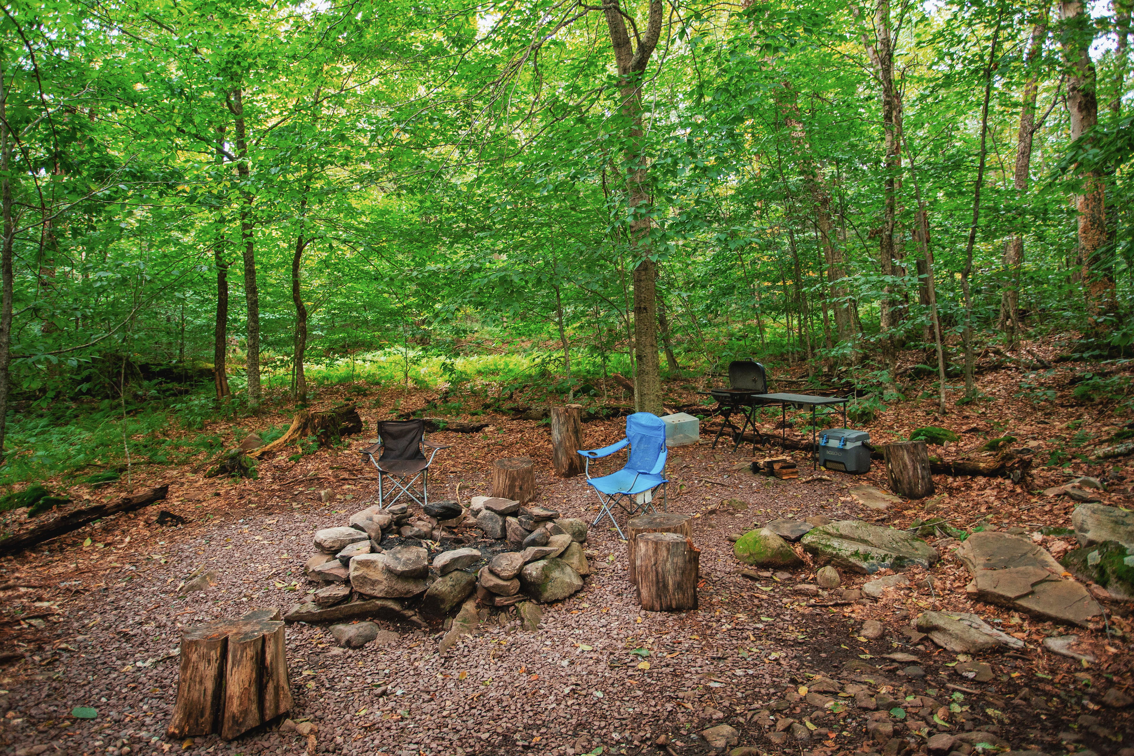 Blue Wind Nature Camp