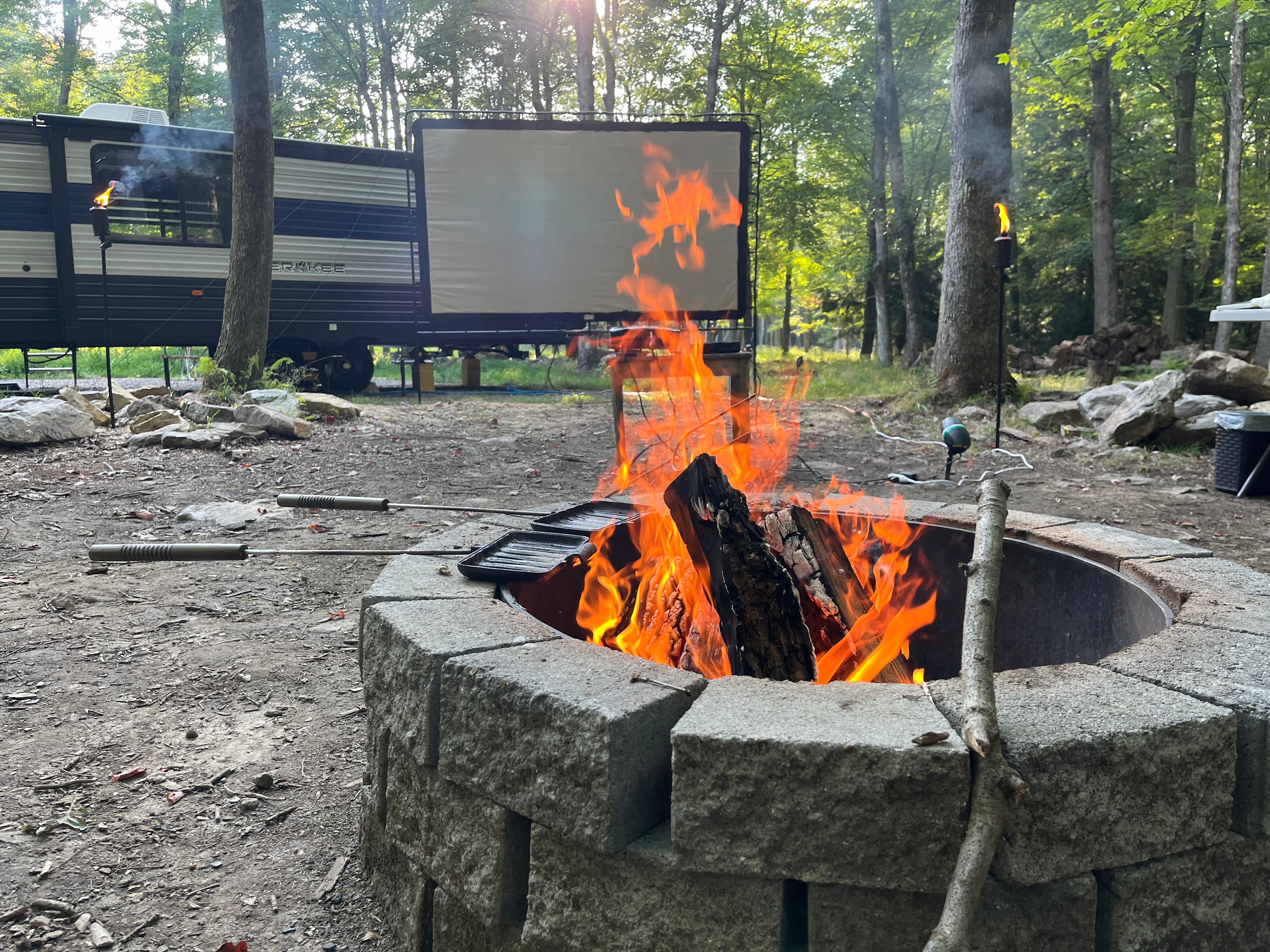Clear Creek Cook Forest Campsite