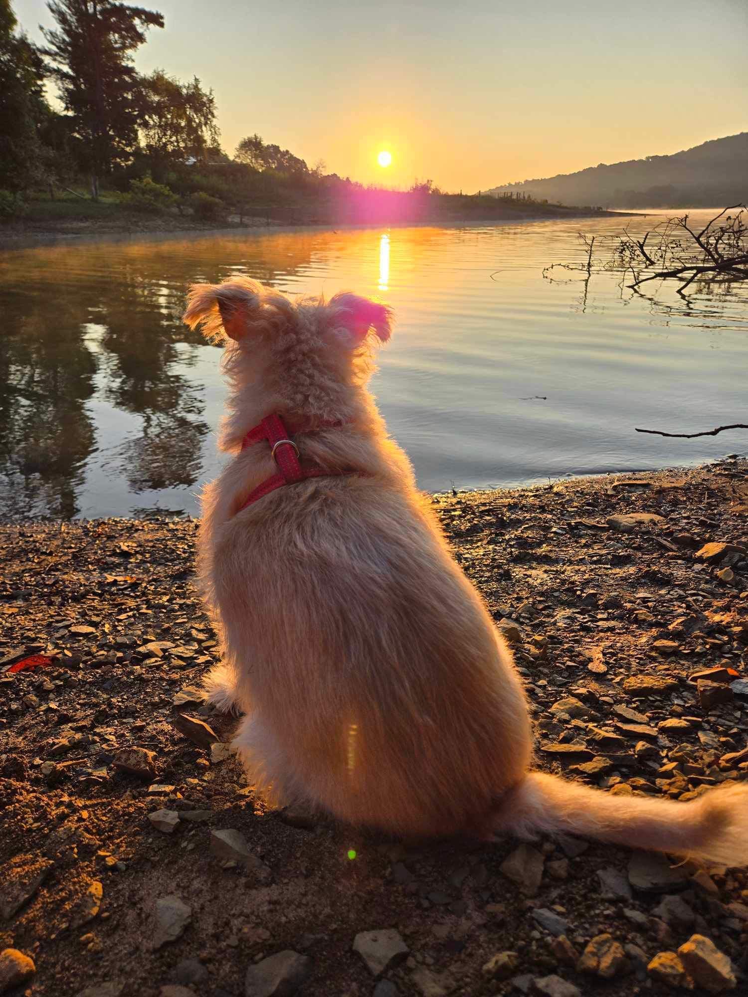 Morning sunshine was amazing 