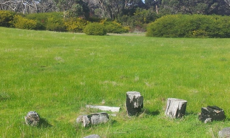 As it was in spring.