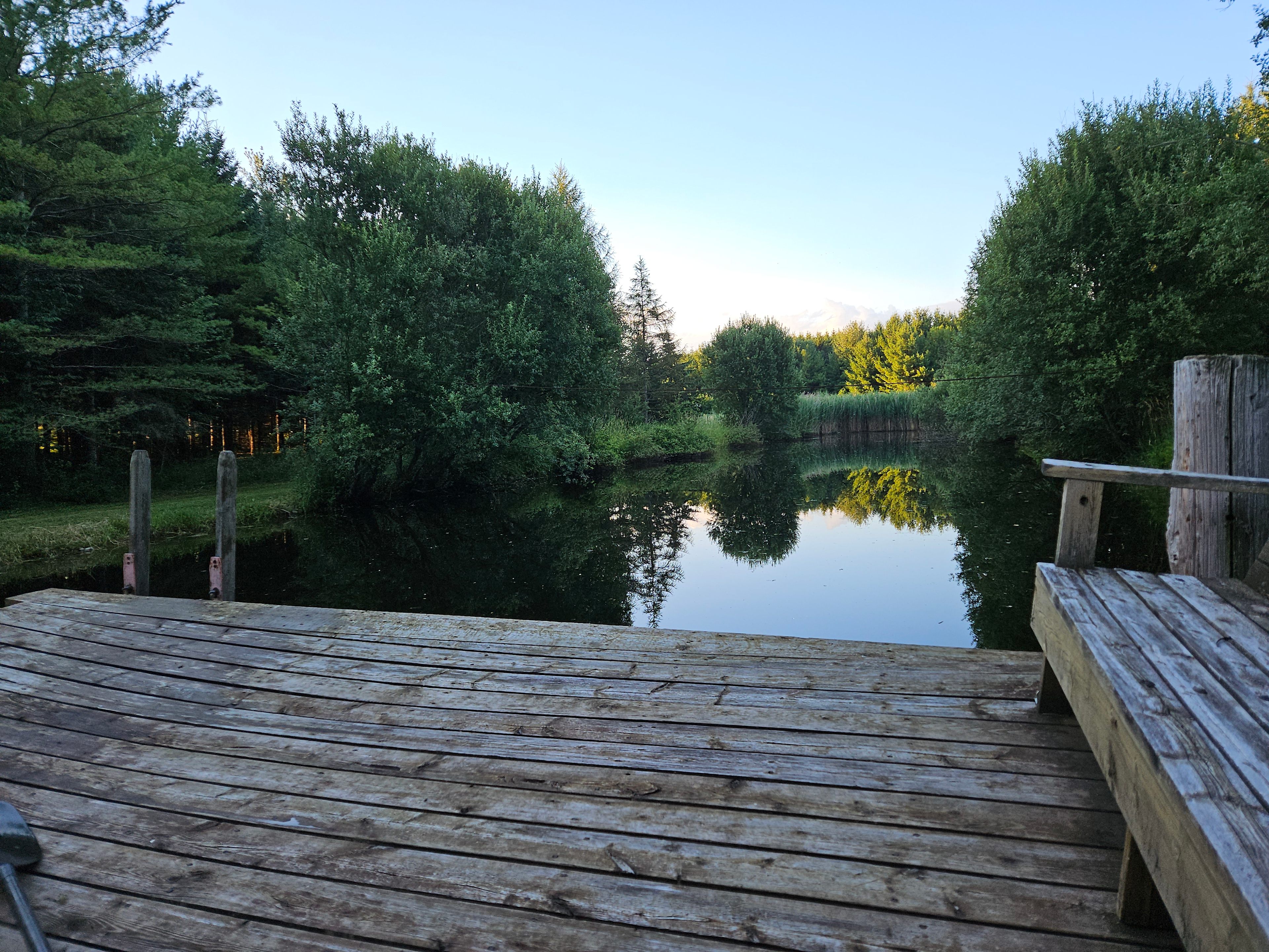 Prospect Forest Acres camping