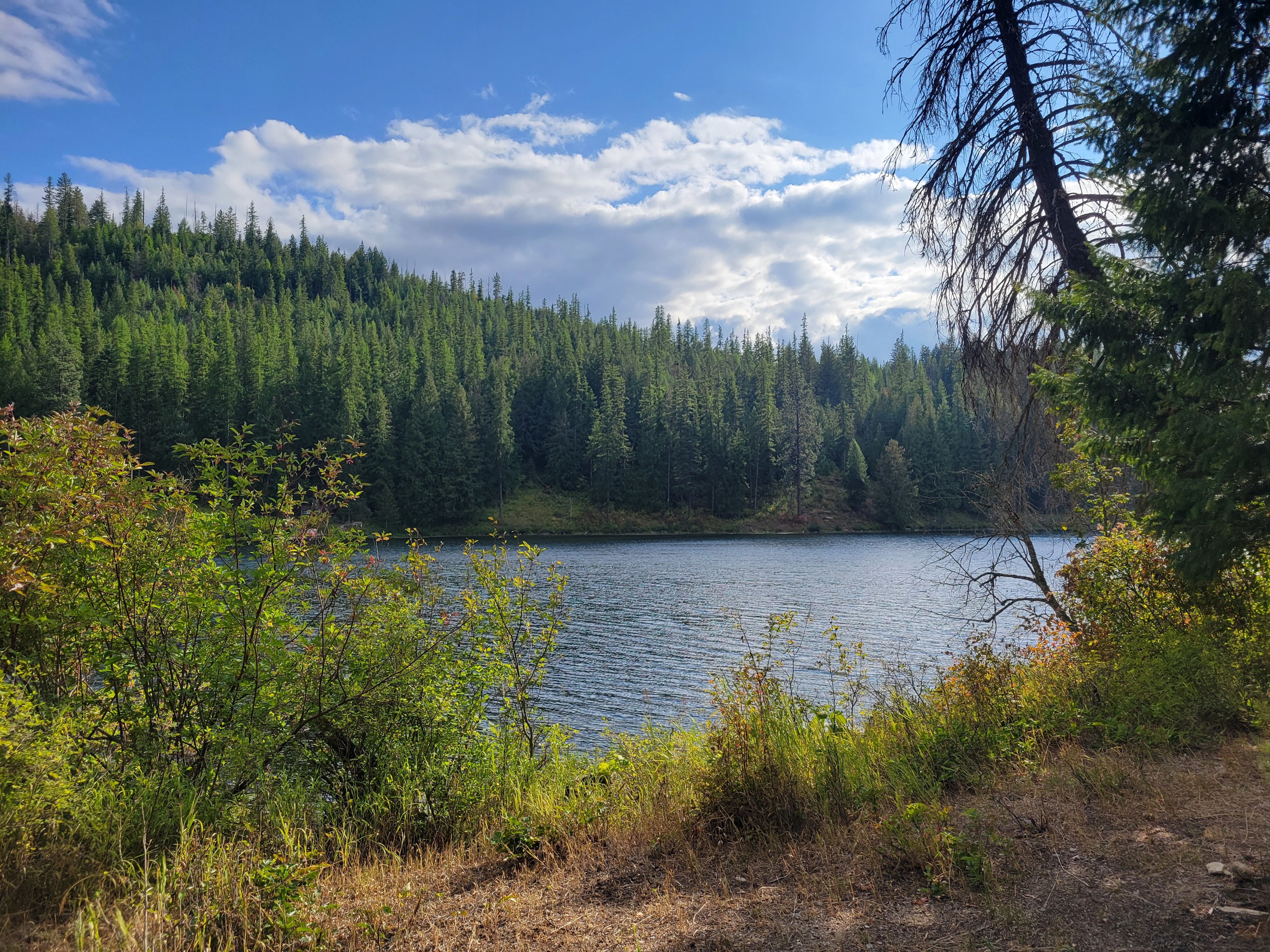 Your view! Lake and pristine forest land