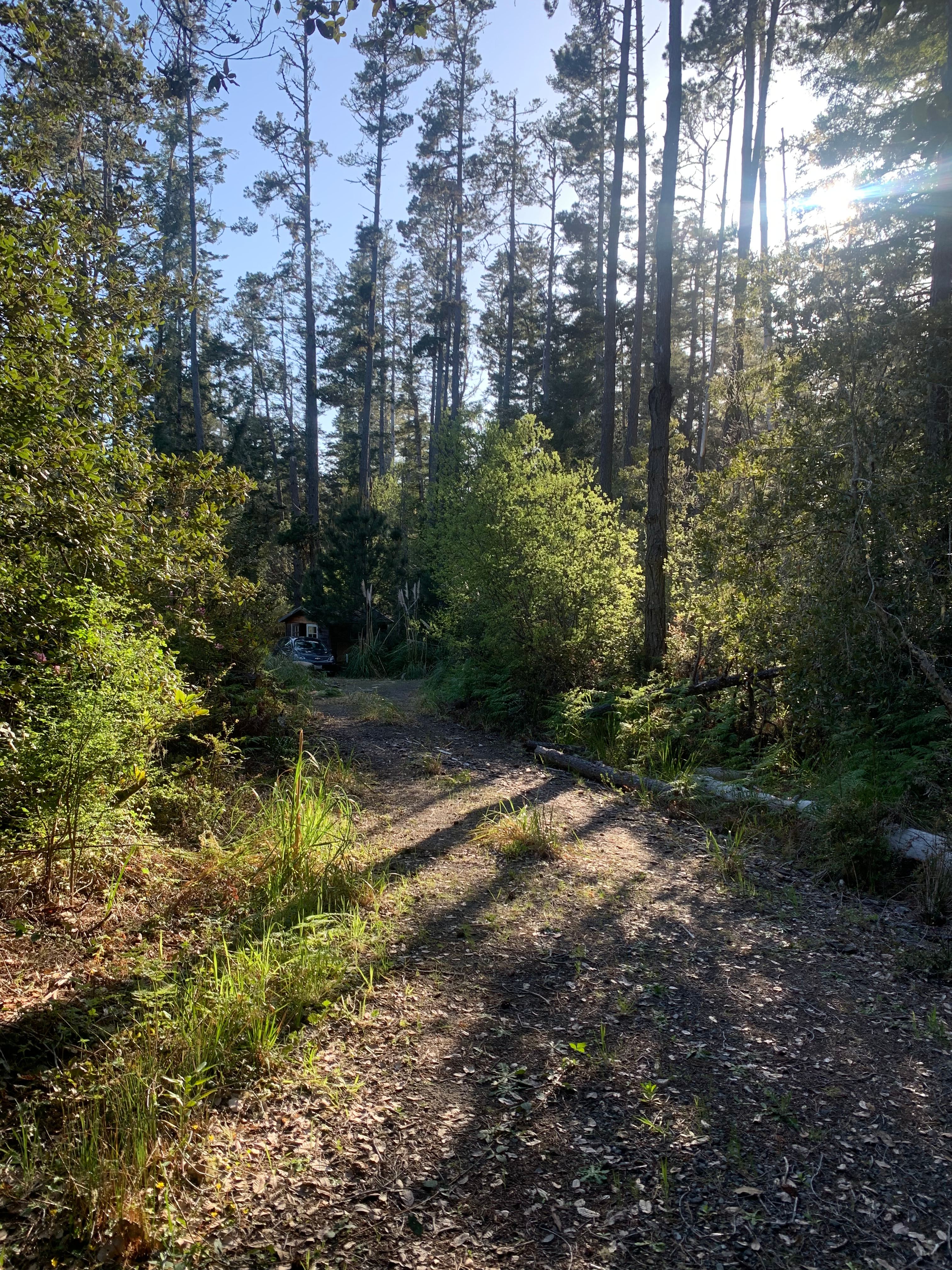 Mendocino Hideaway