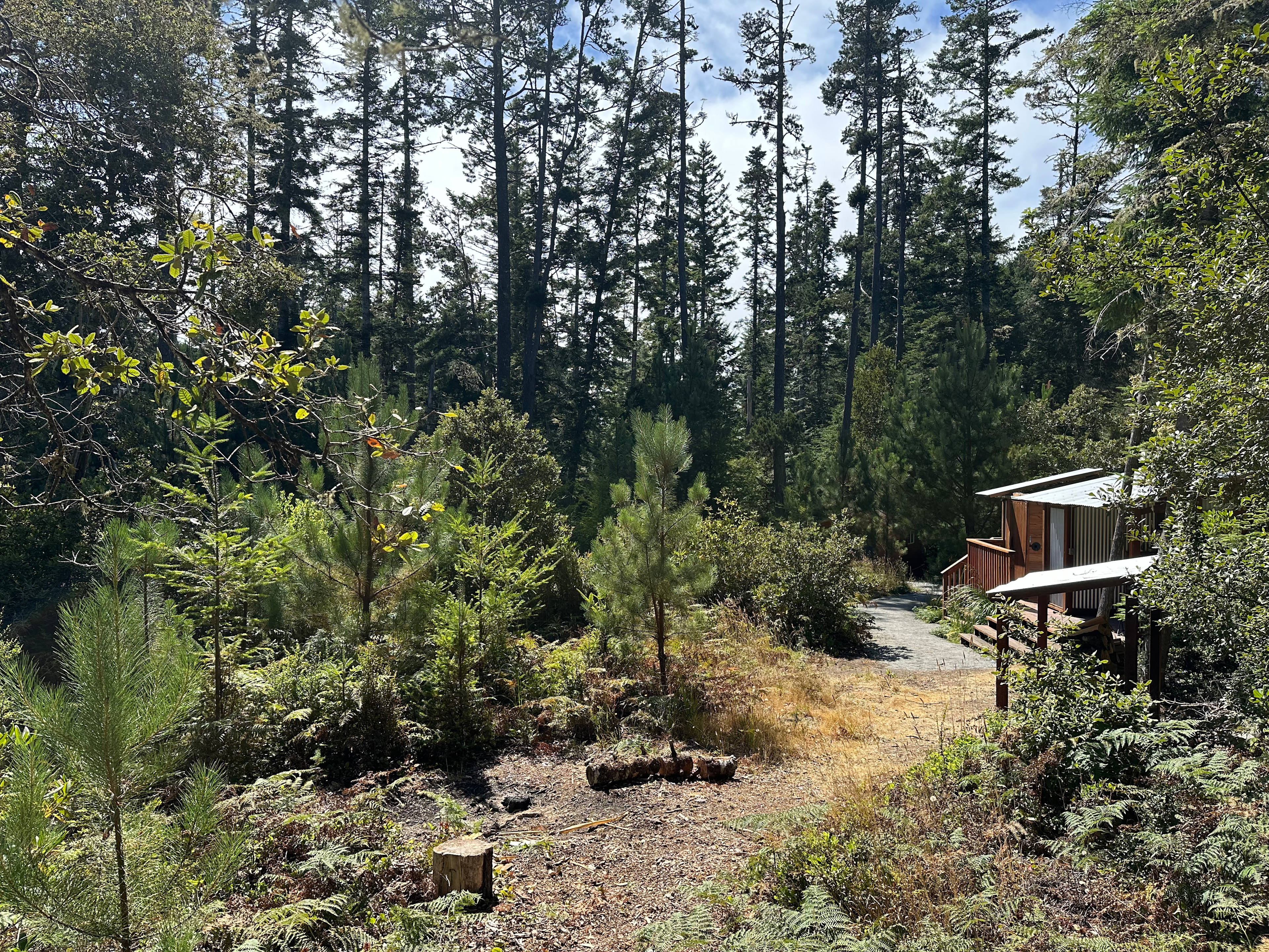 Mendocino Hideaway
