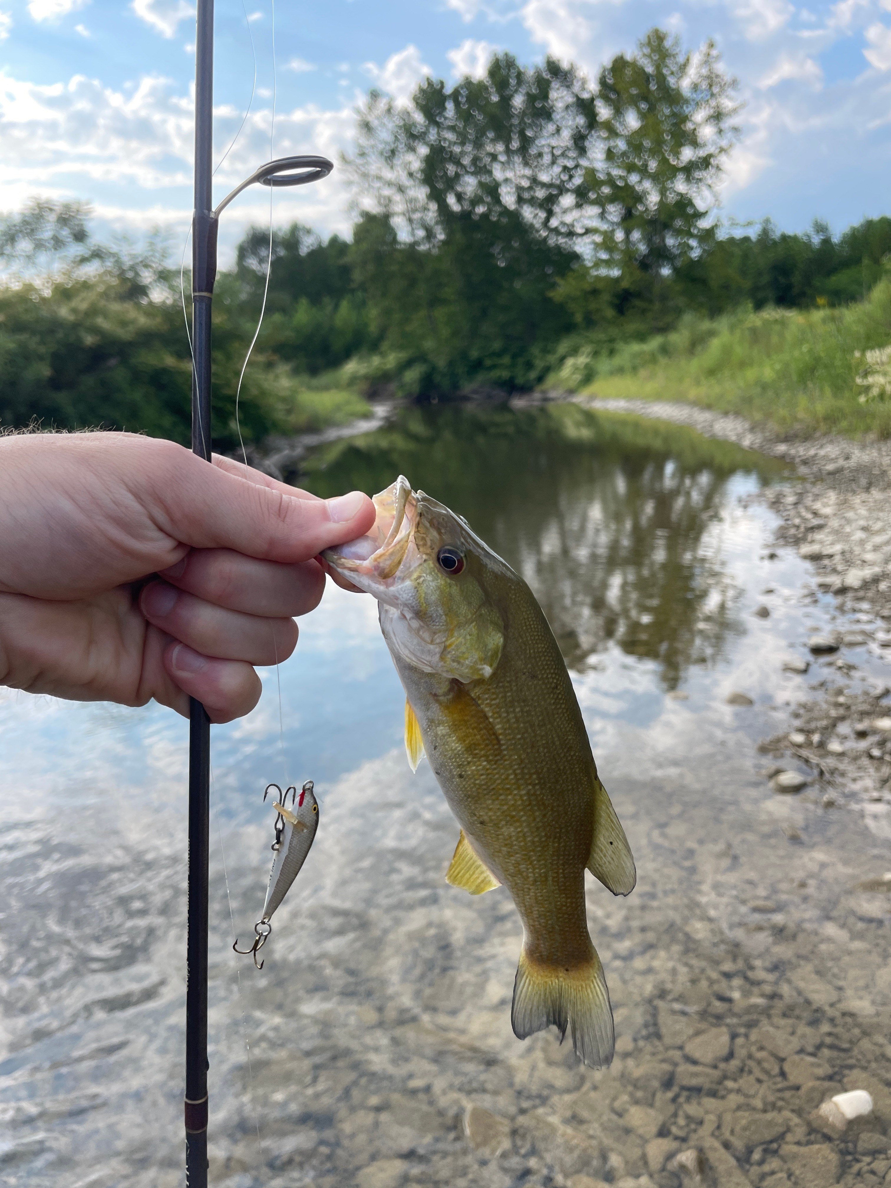 Great little fishing holes for smallmouth and trout!