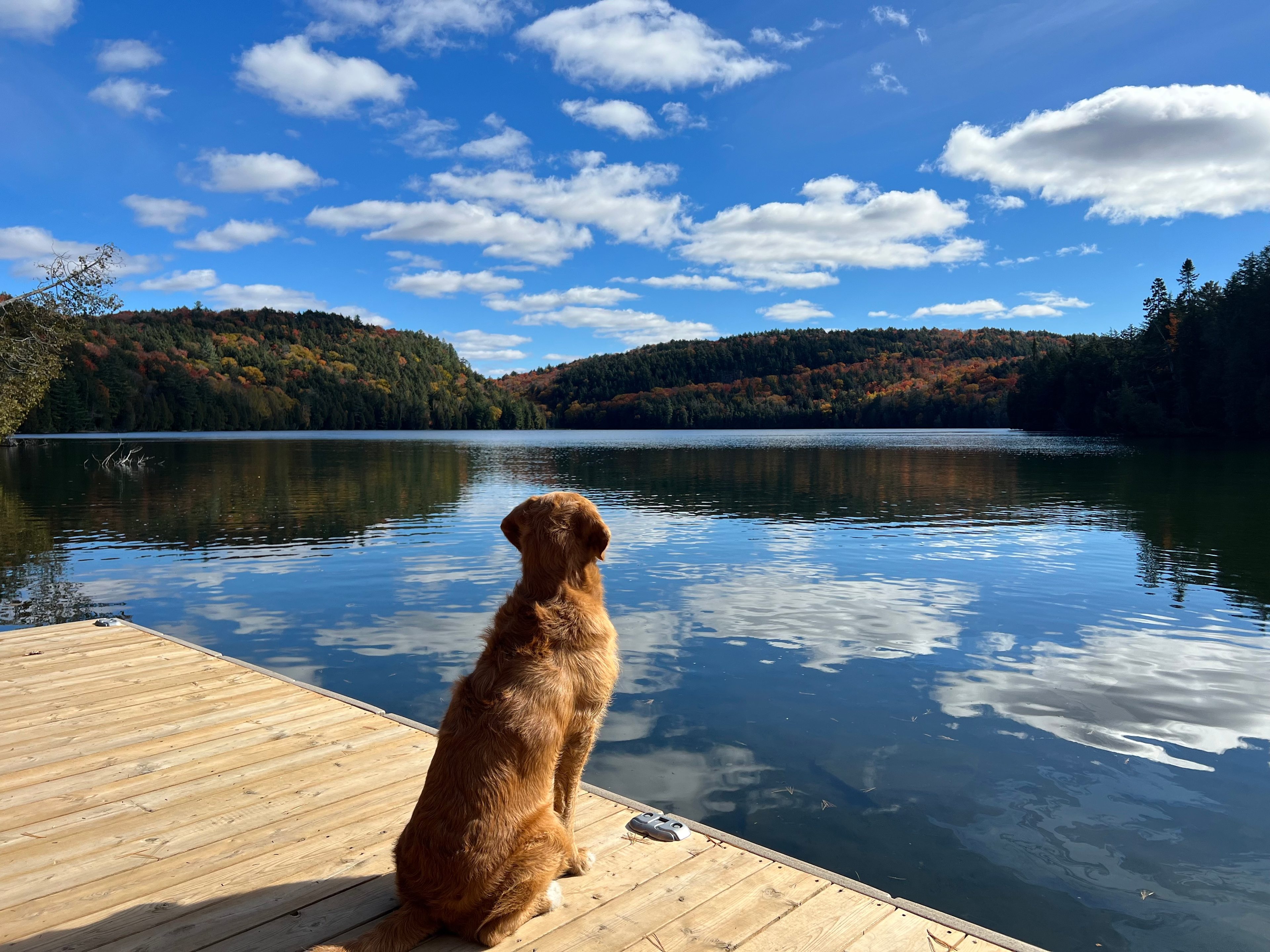 Algonquin Lakeview Glamping Dome