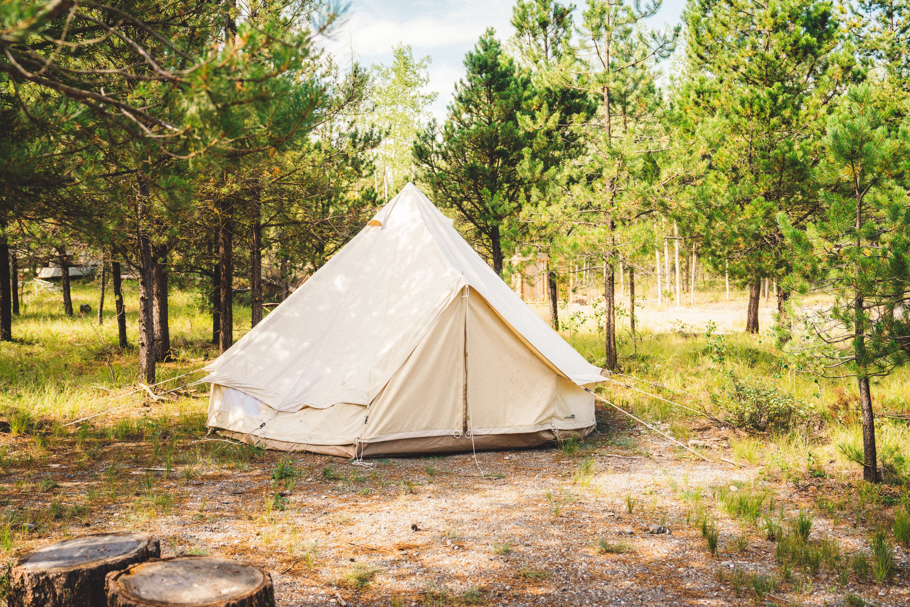 Sunset Knoll Sites on Big Bar Lake