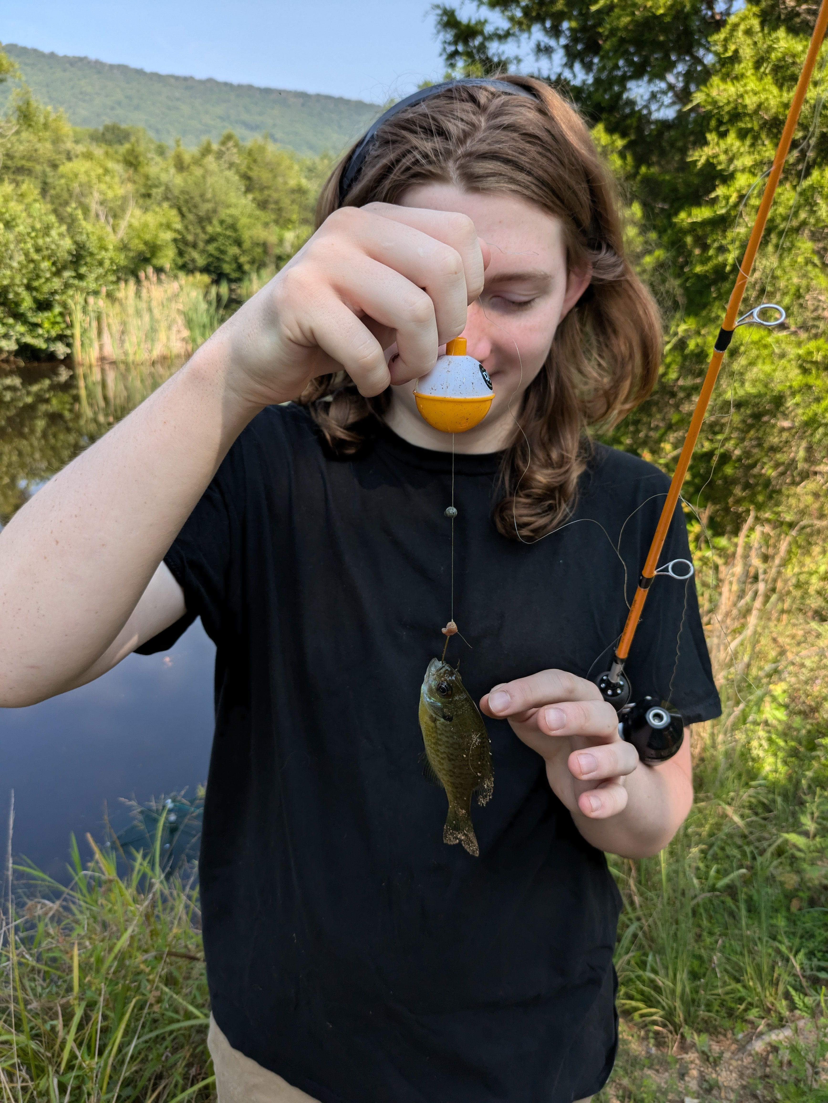 Camp Shenandoah Meadows