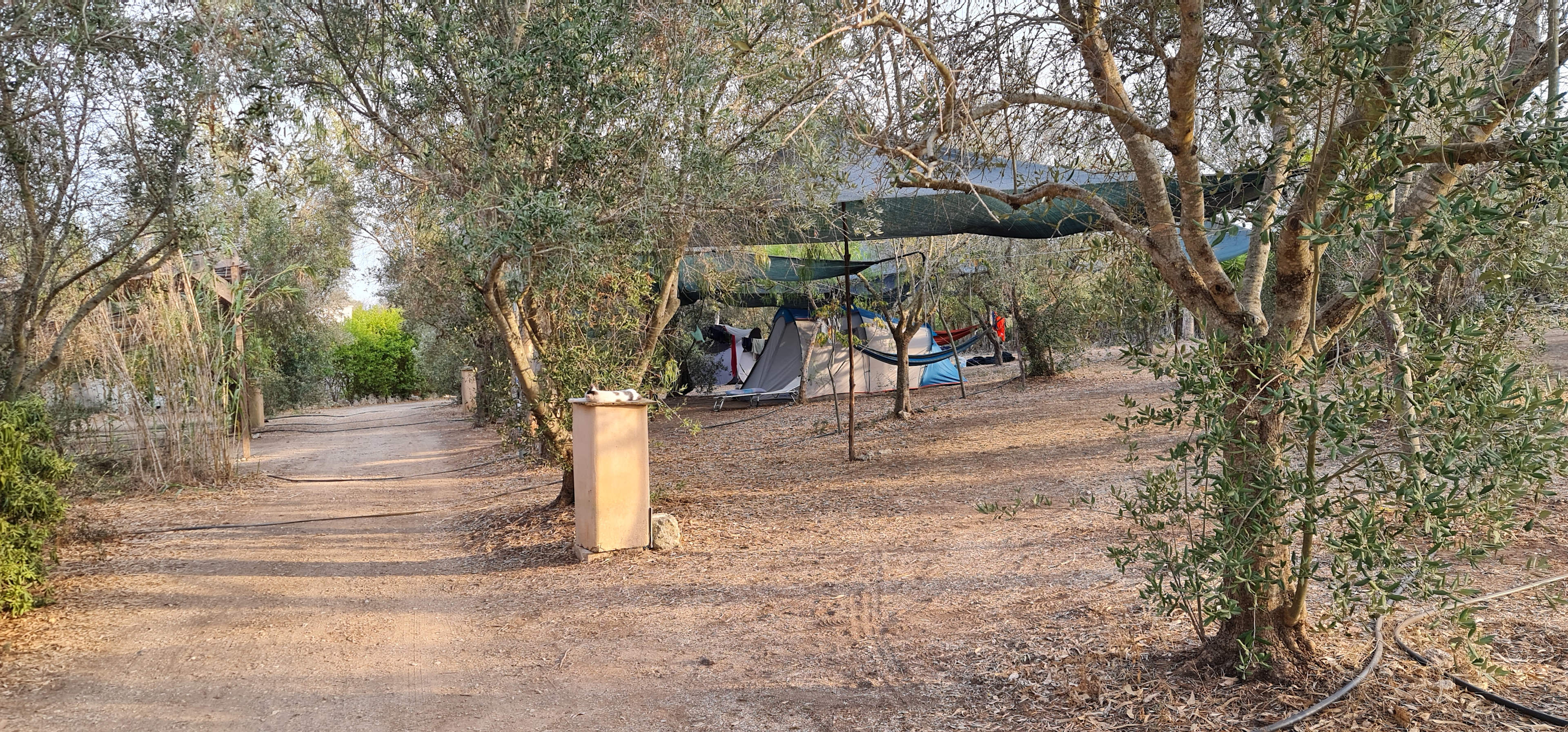 Camping DARWIN