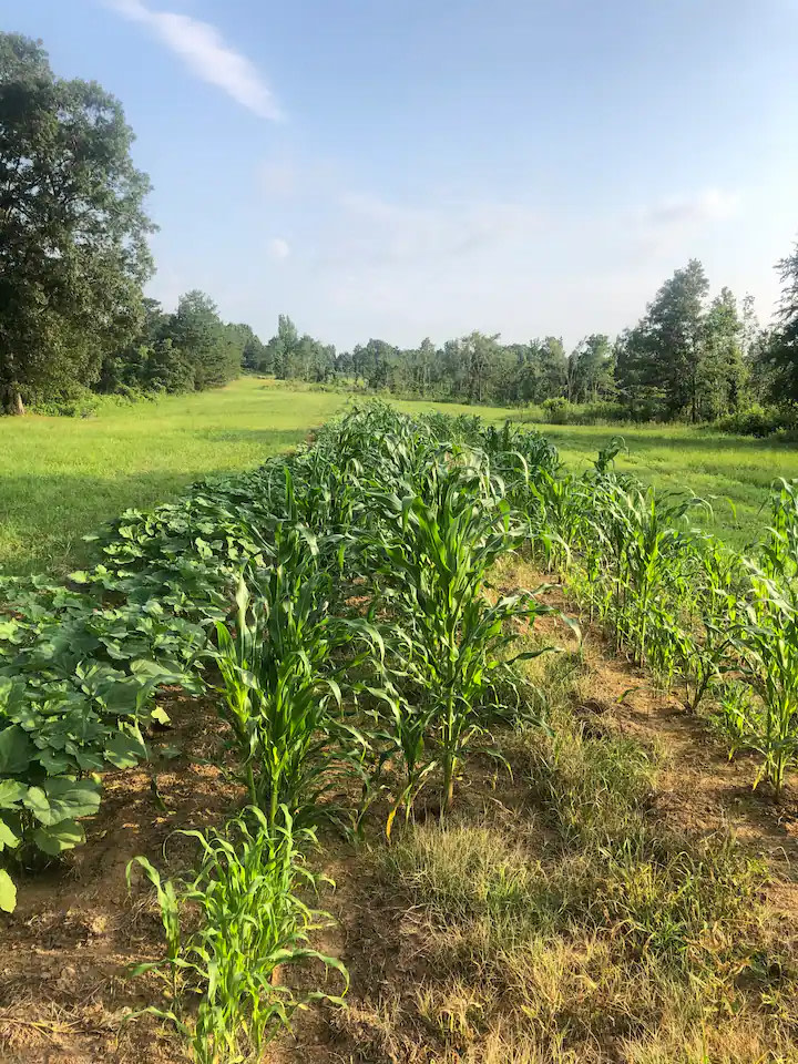 Magical Hill Country Cabins