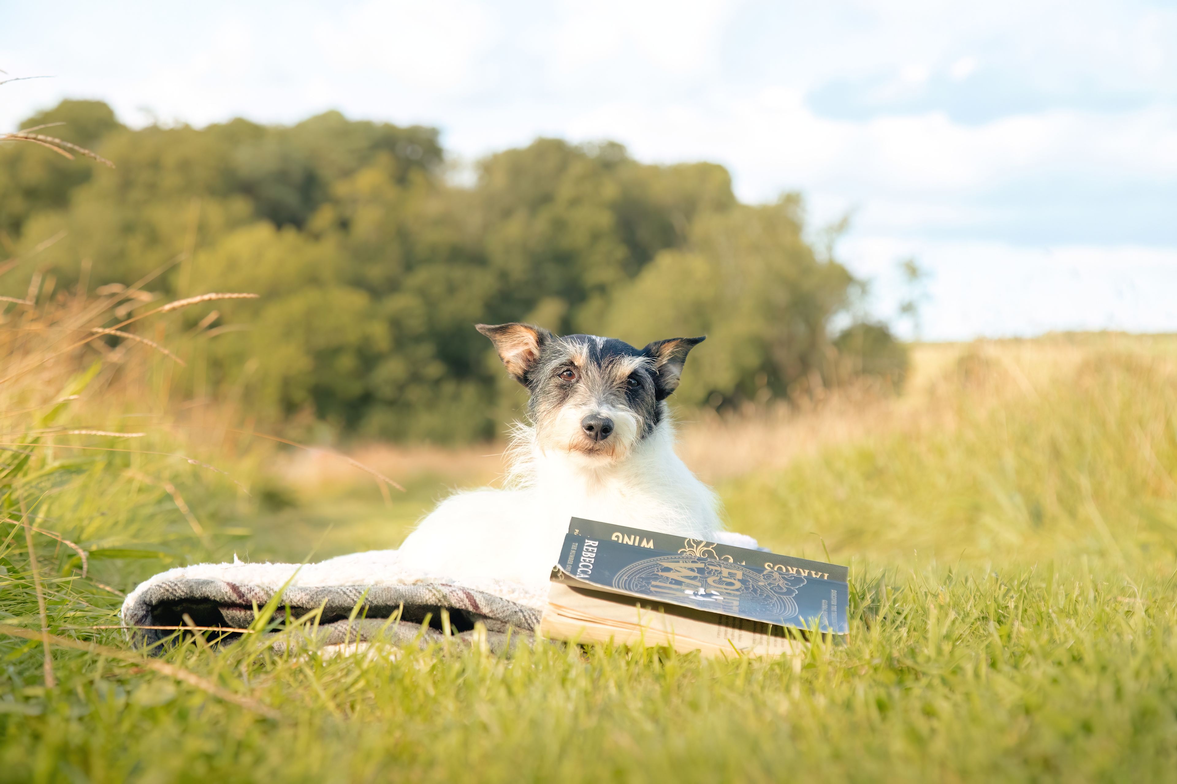 Taking time to relax and making campsite friends.