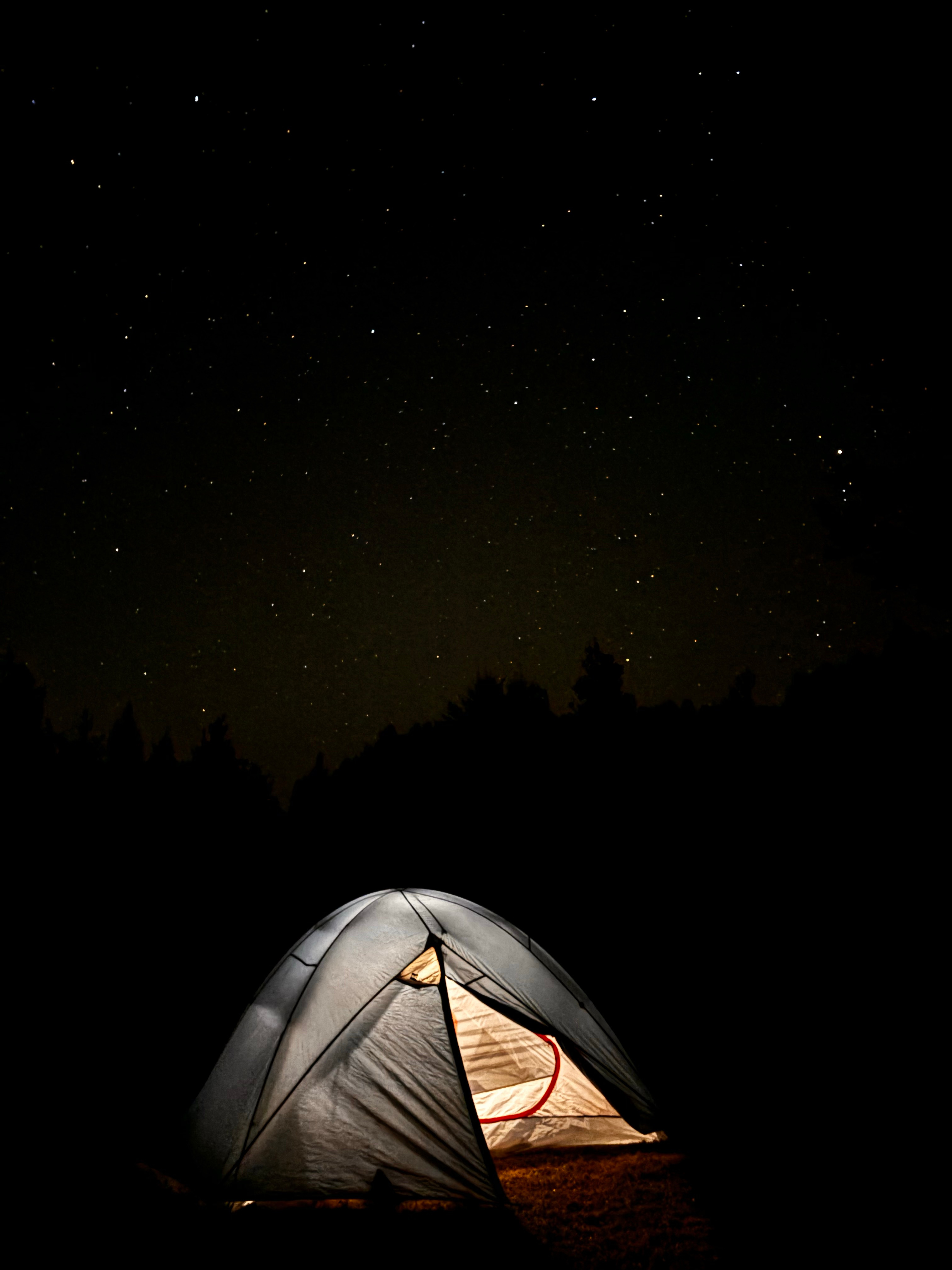 Maple Lane Hive and Home