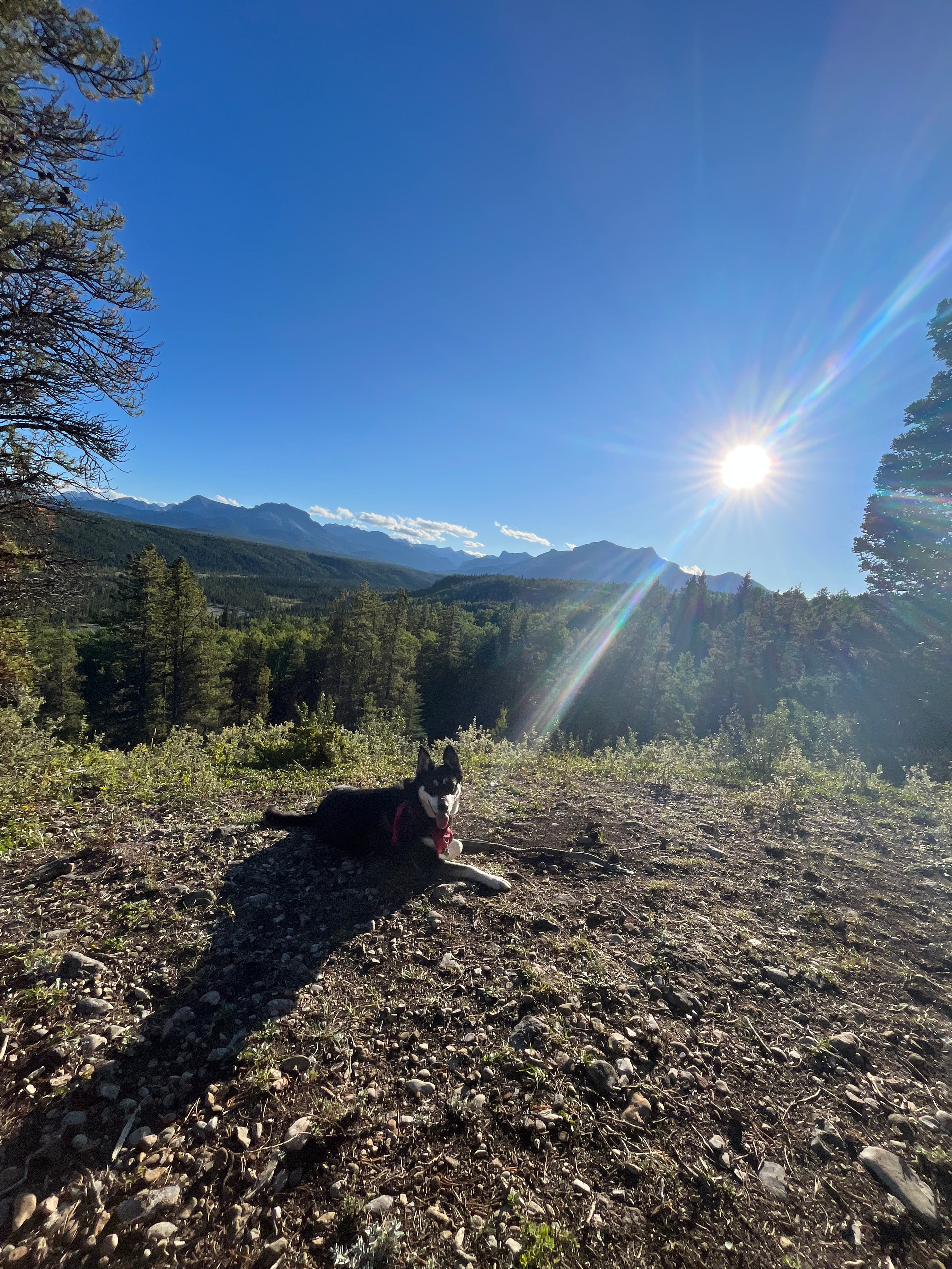 Trappers Hill Lodges & Campground