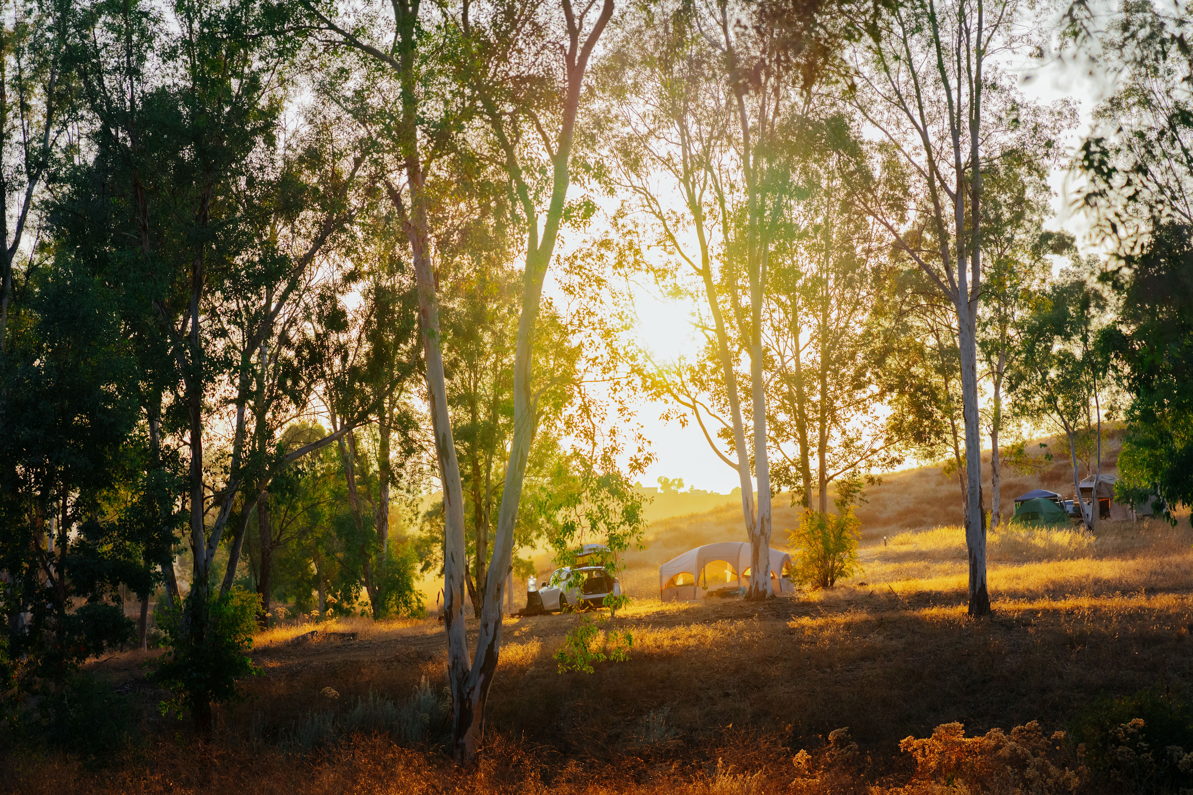 Hidden Falls Preserve
