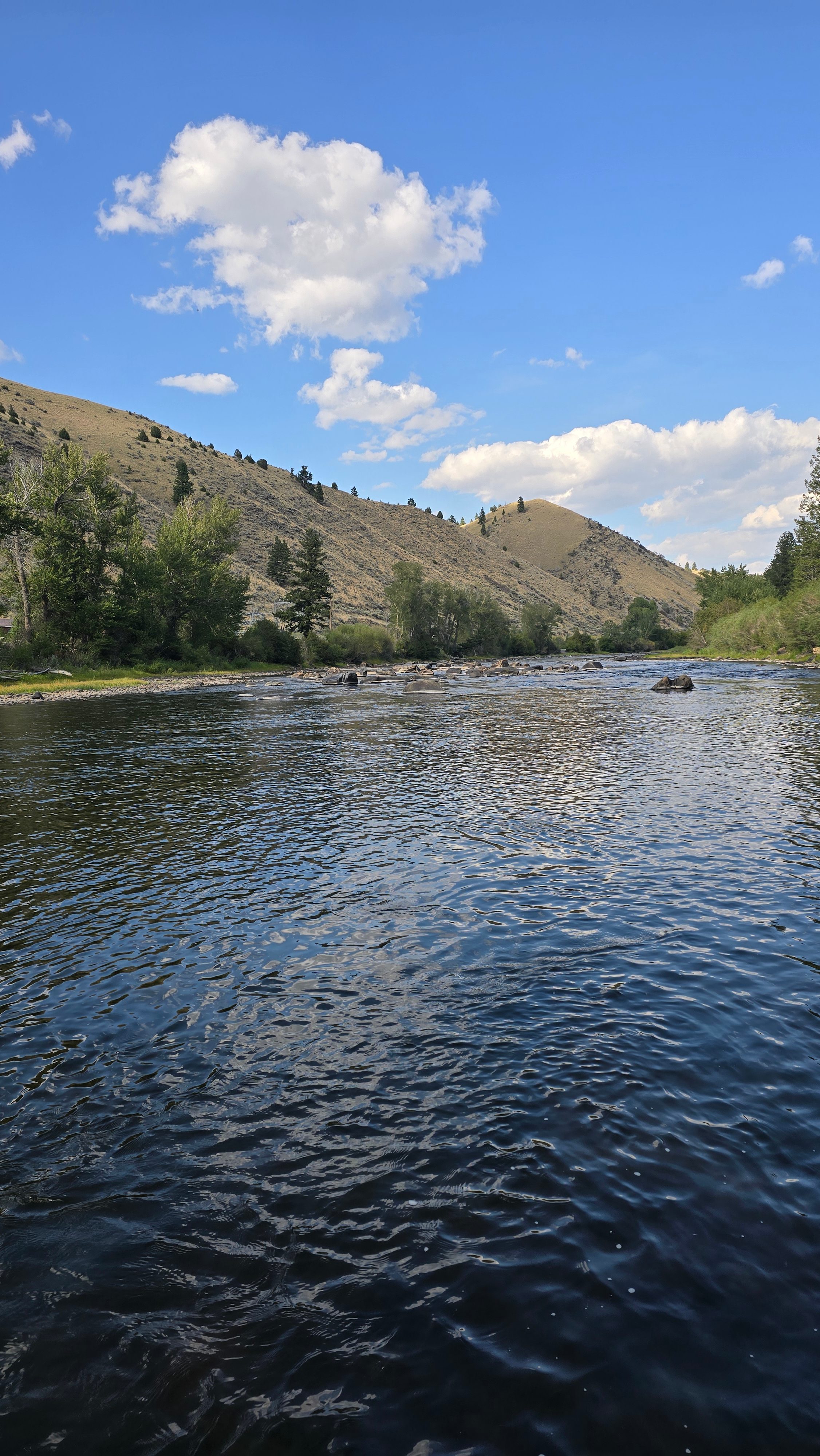 Angler's Paradise