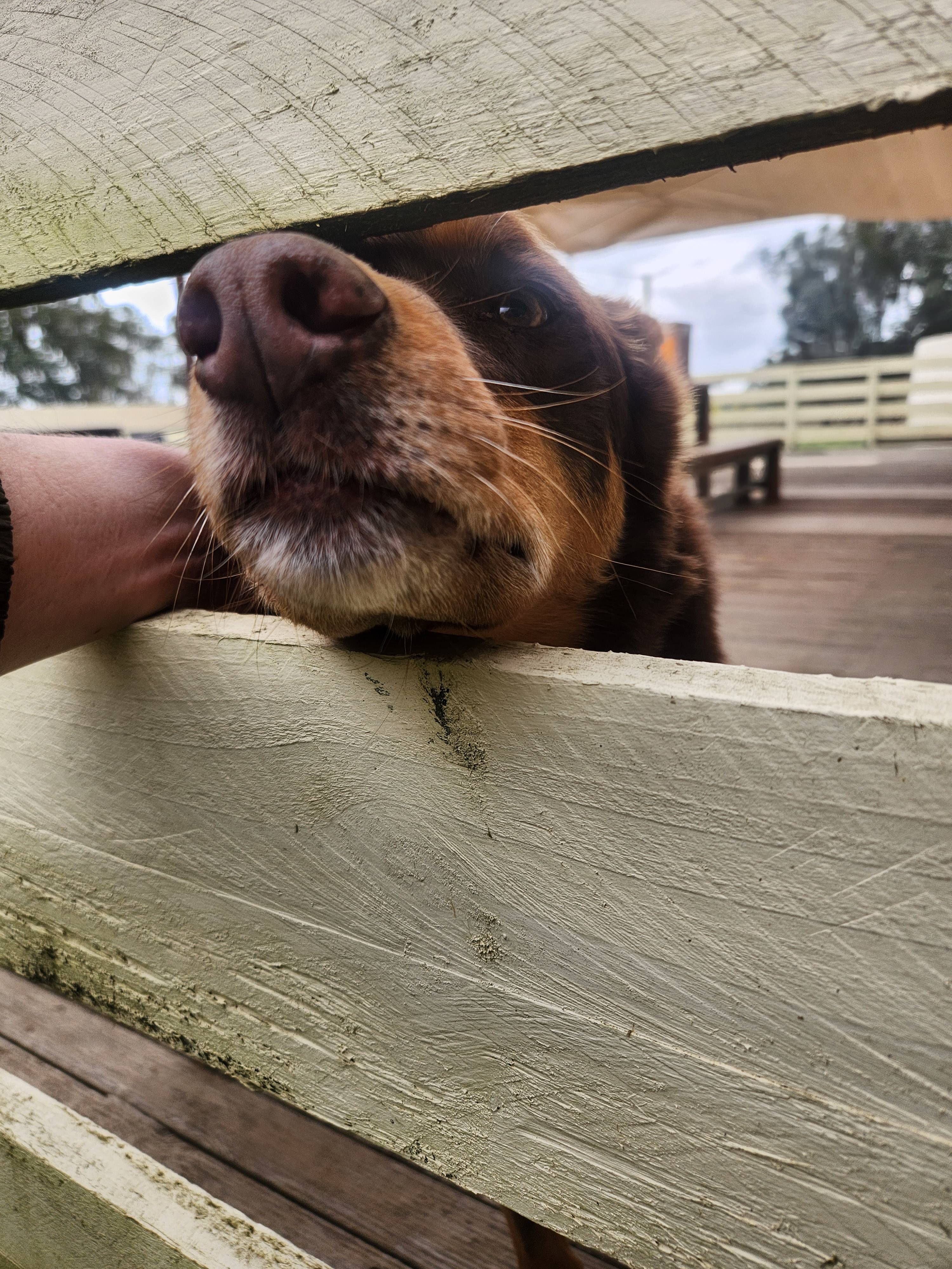 Retreat to Granite Springs Farmstay