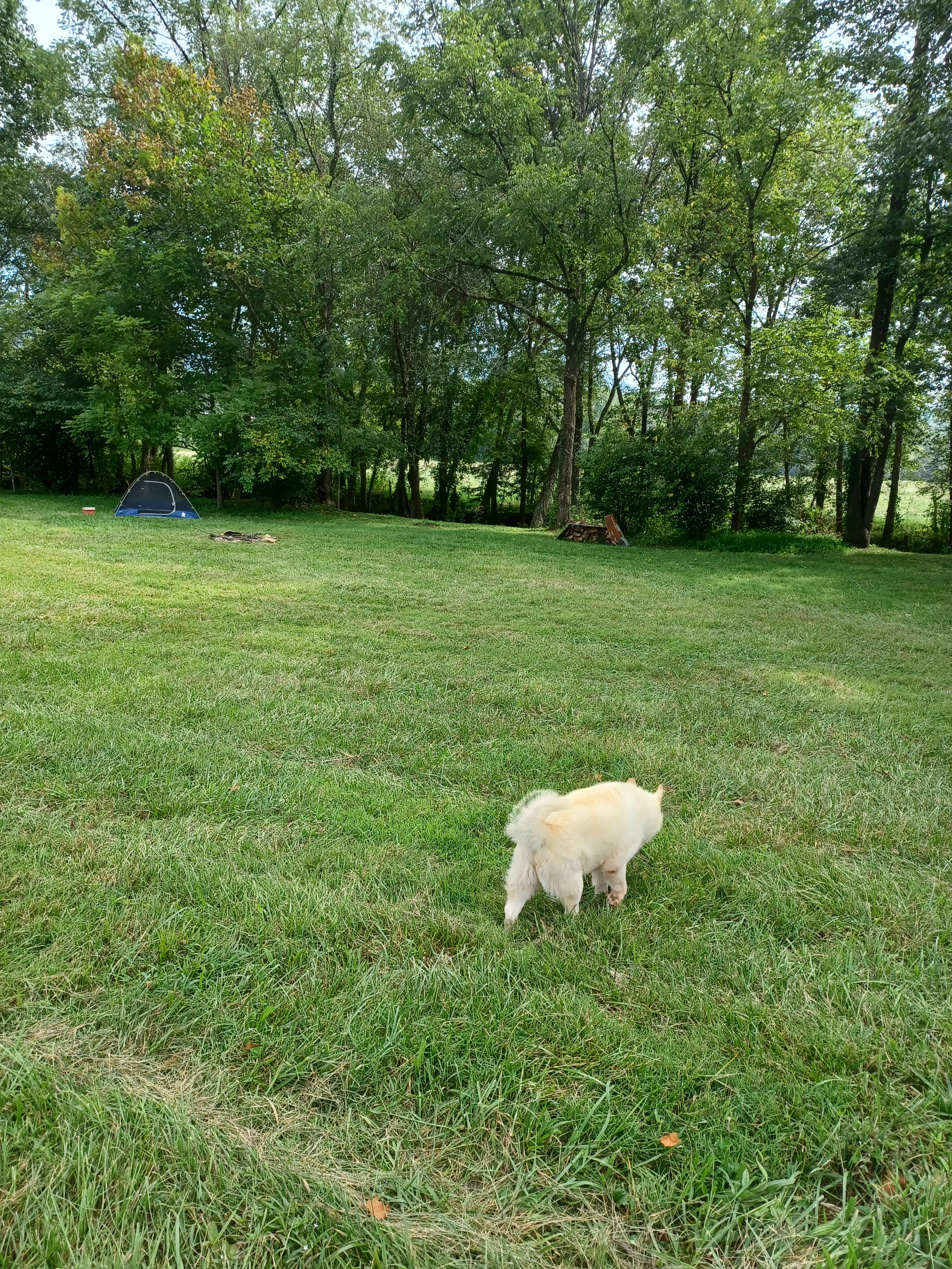 Yadkin Mountain Farm