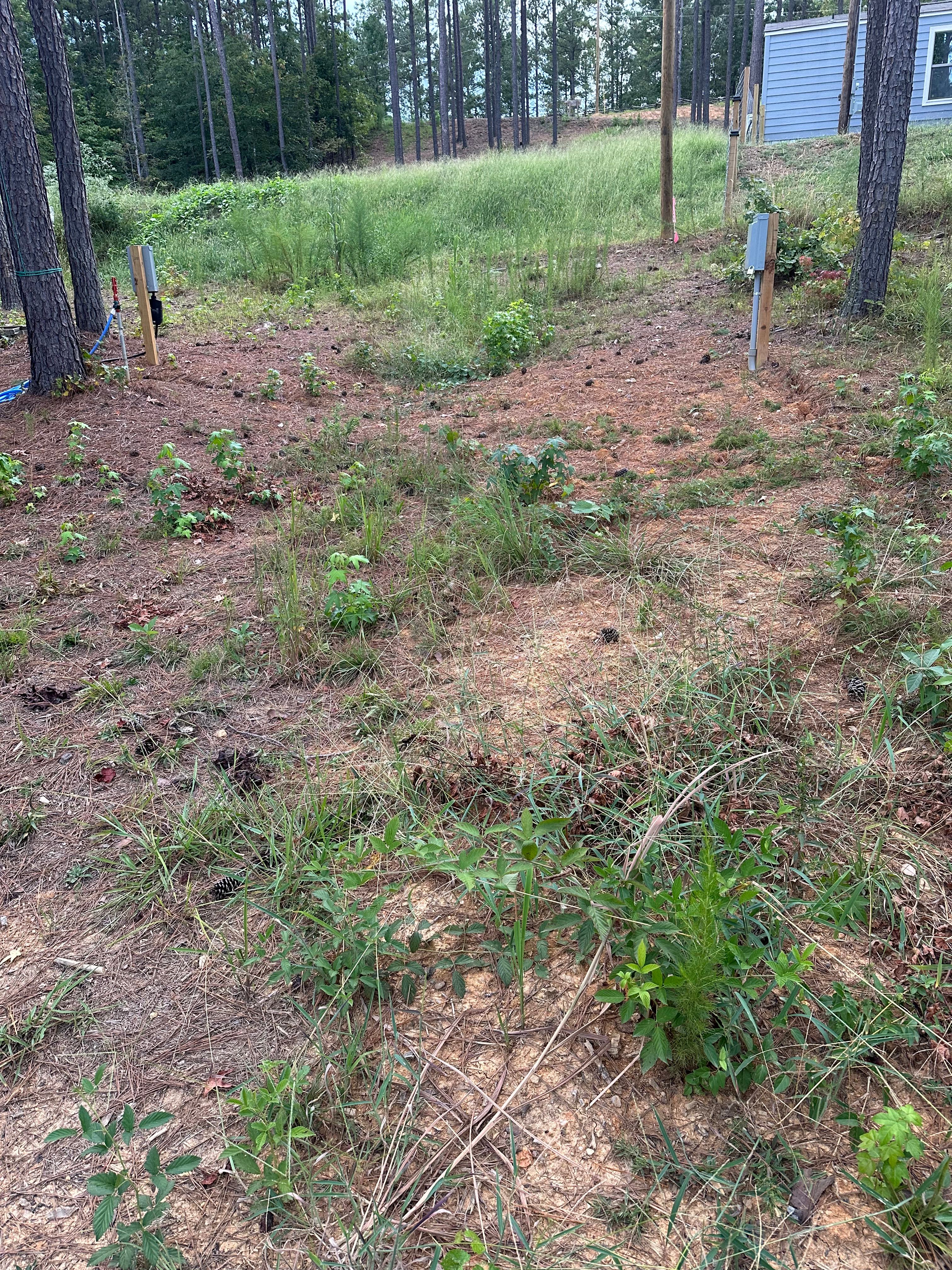 Coosa River Lot