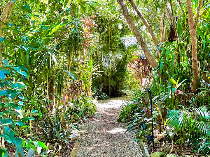 Johnstone River Retreat