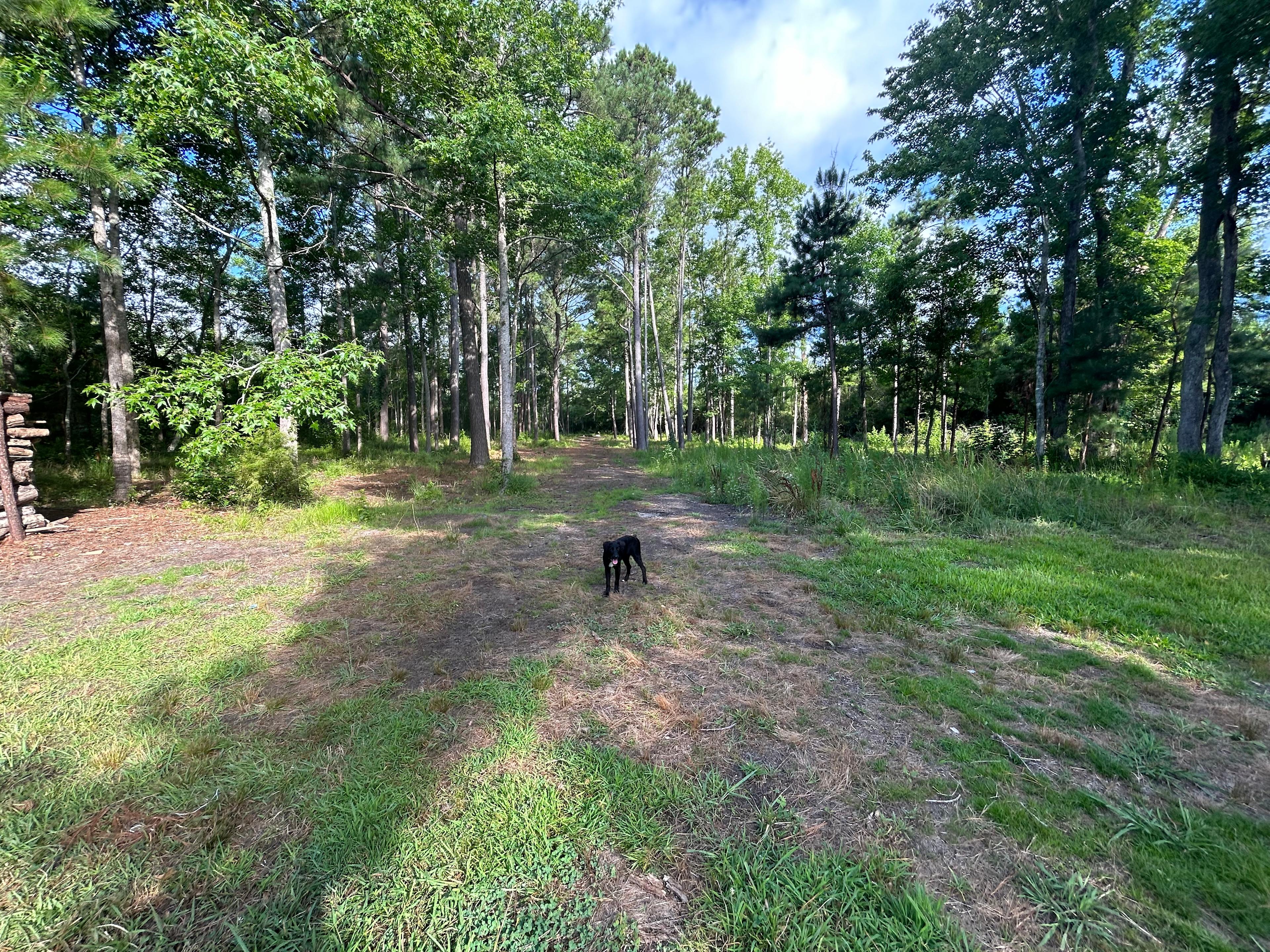 Gretchen’s Big Pine Carolina Estate