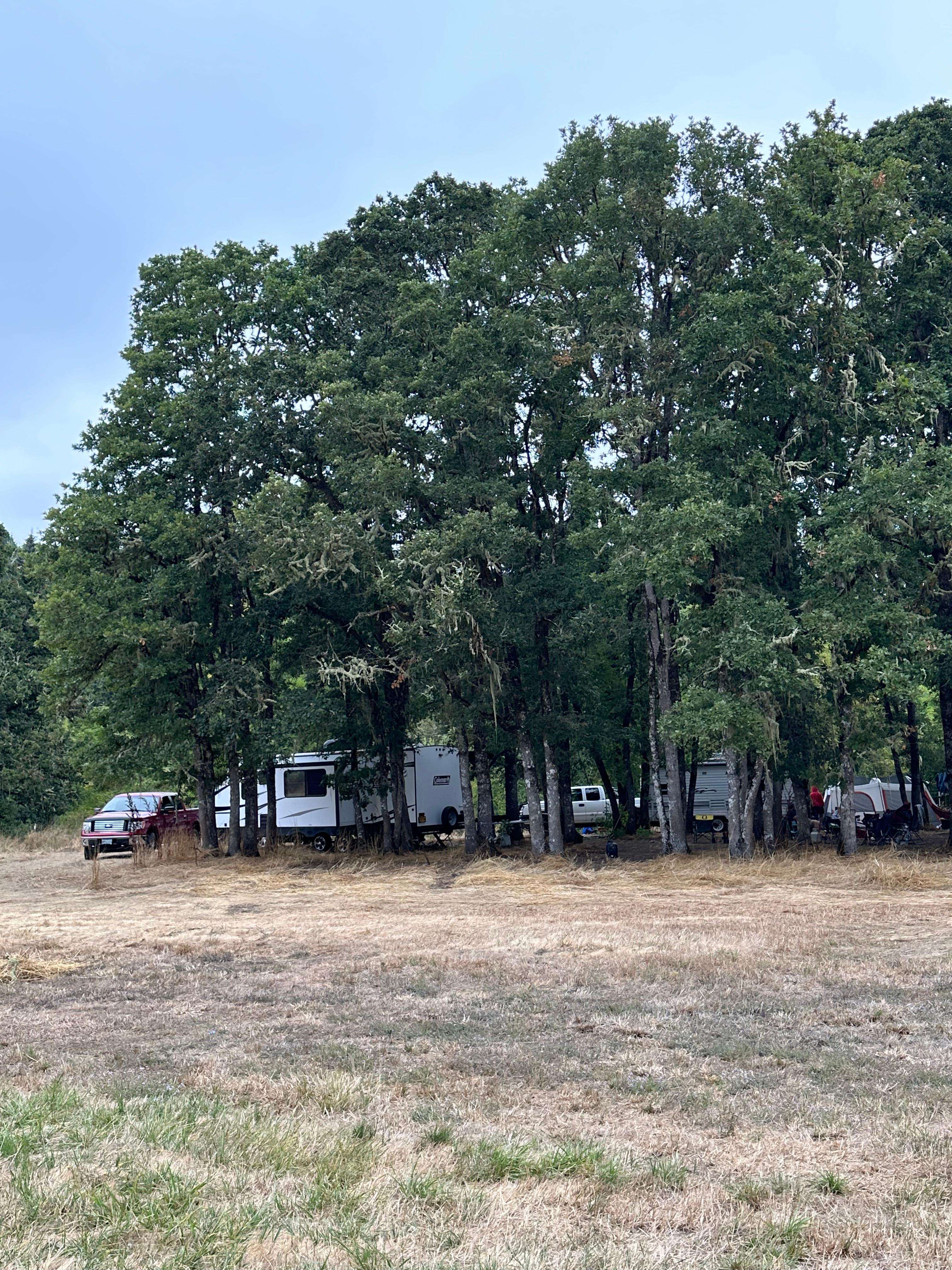 Coyote Camp