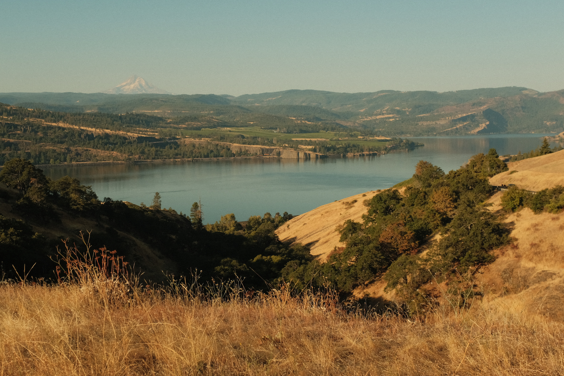 View of the Colombia River and Mount Hood from walking trail