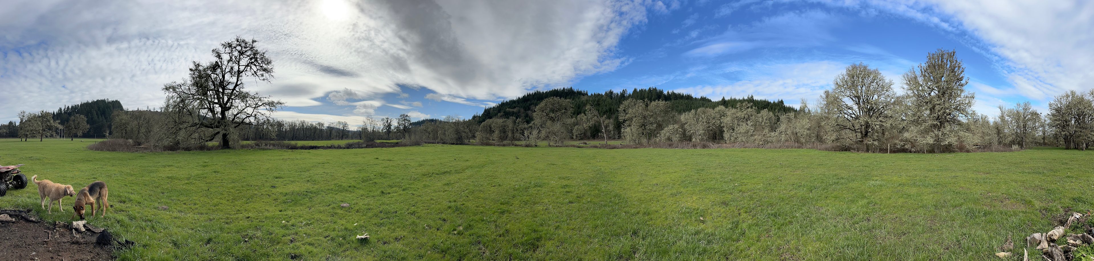 Coyote Camp