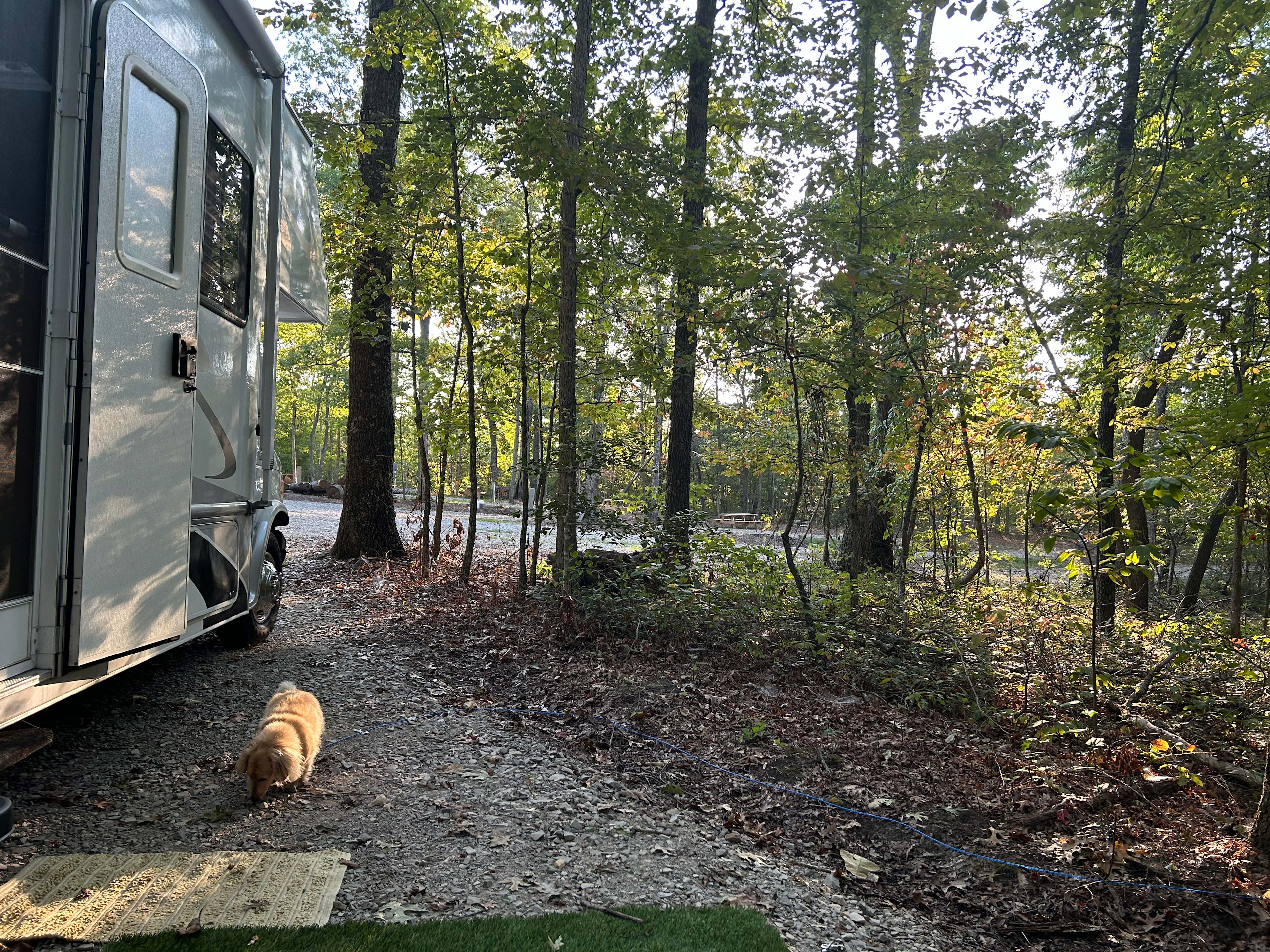 Campsites Fall Creek Falls Stables