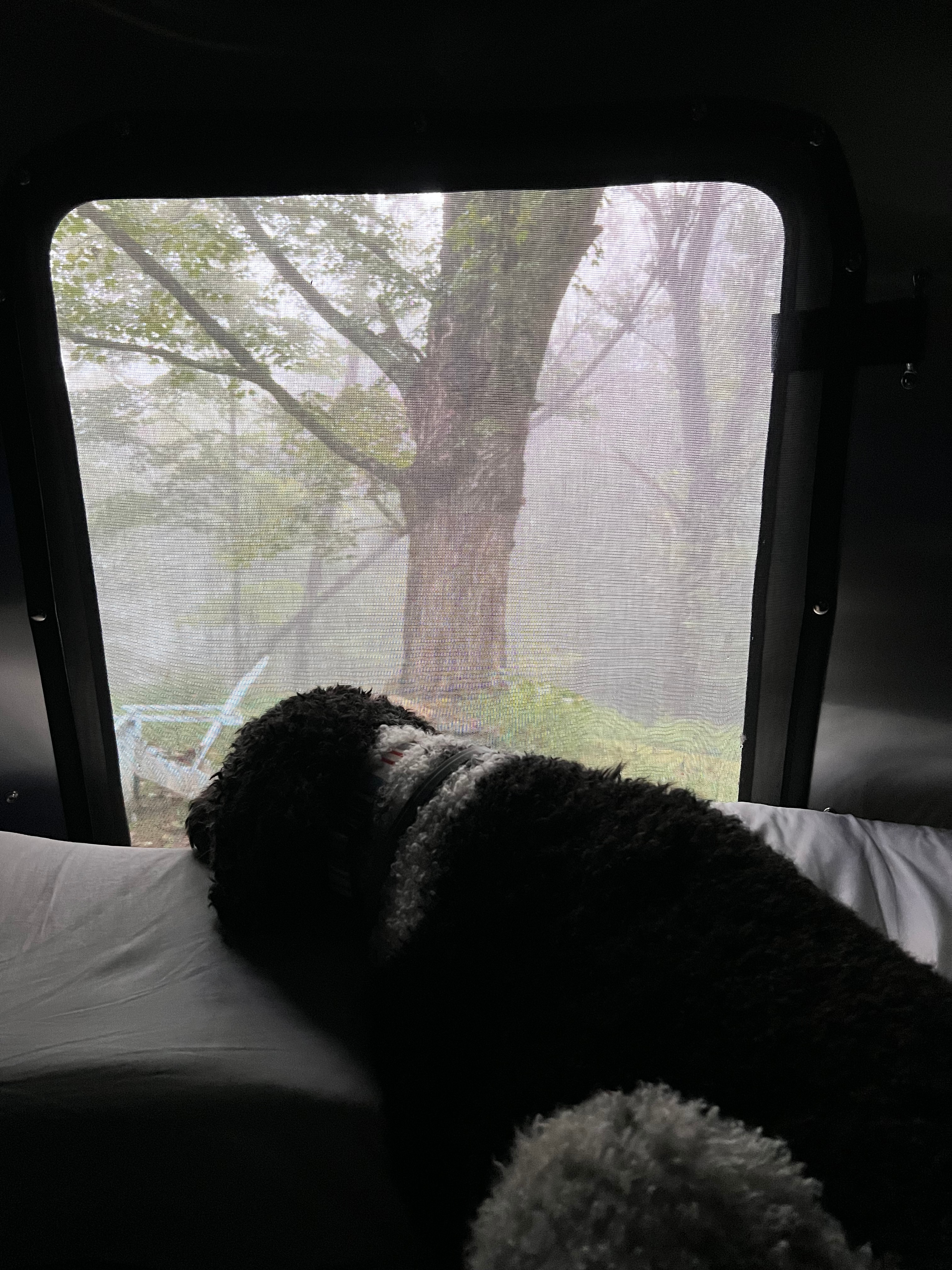 LAUREL HILL HAVEN, Va. Blue Ridge