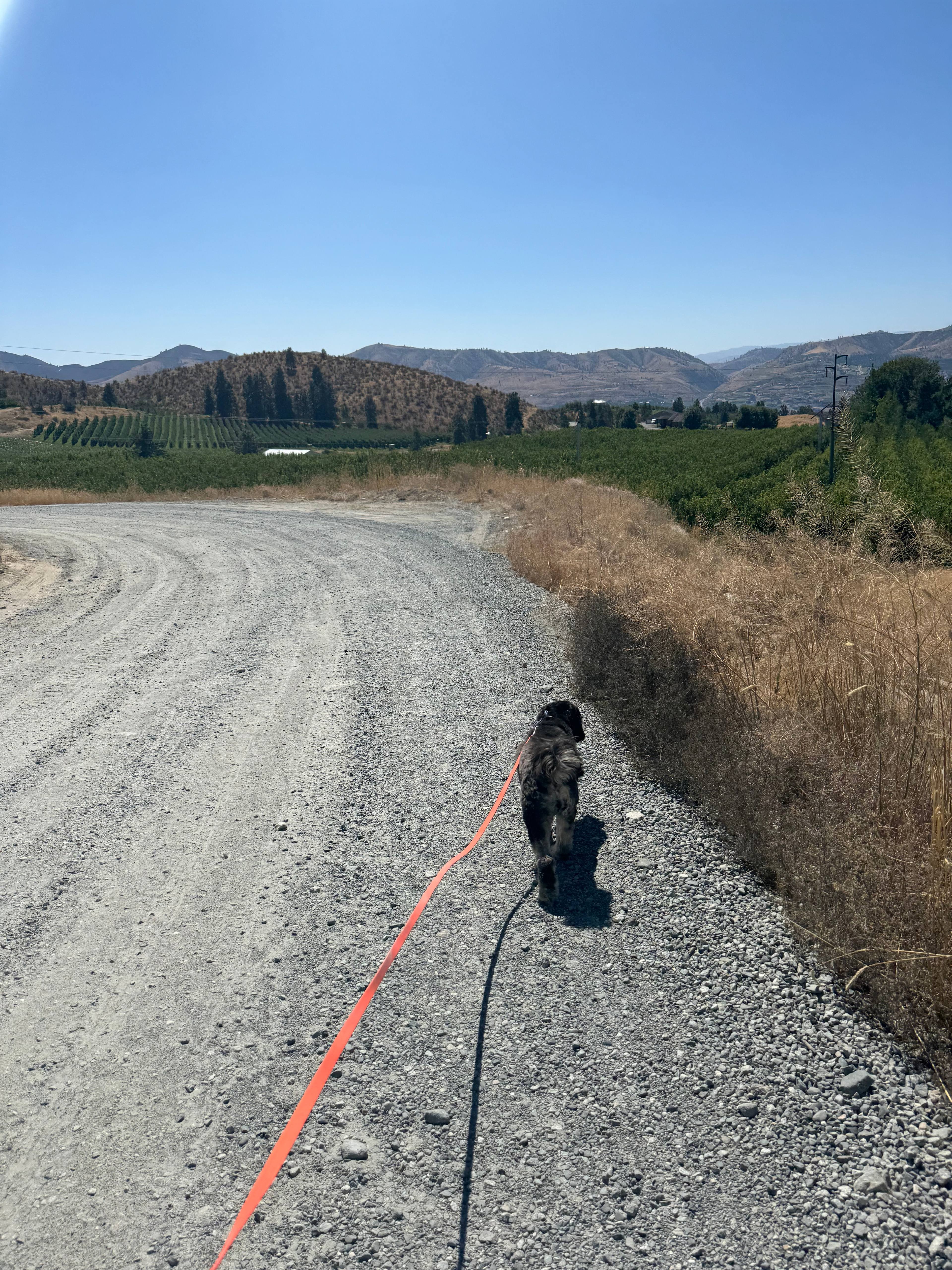 Farm Stays At Chelan Ranch