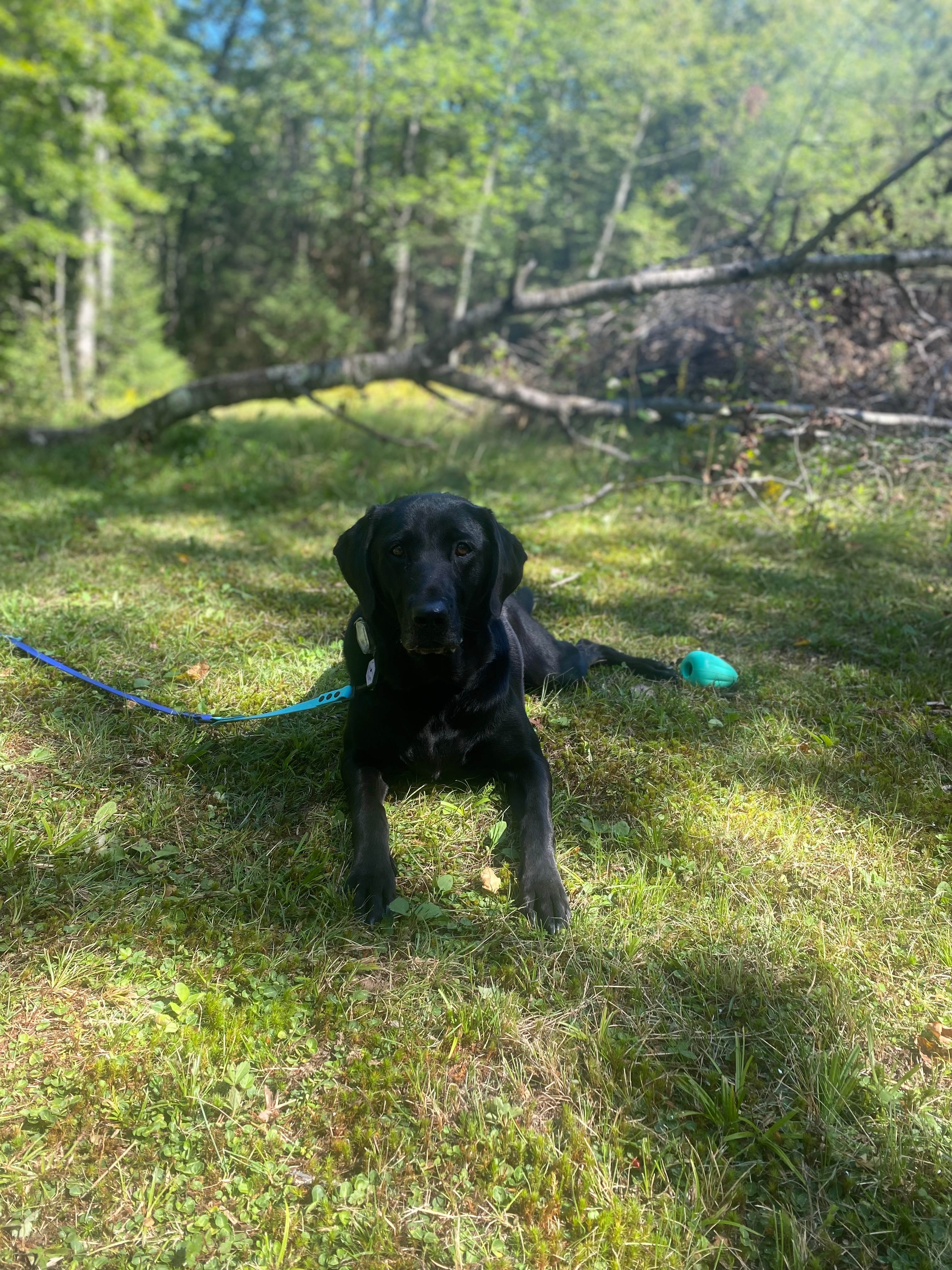 Livin’ the Mökki Life