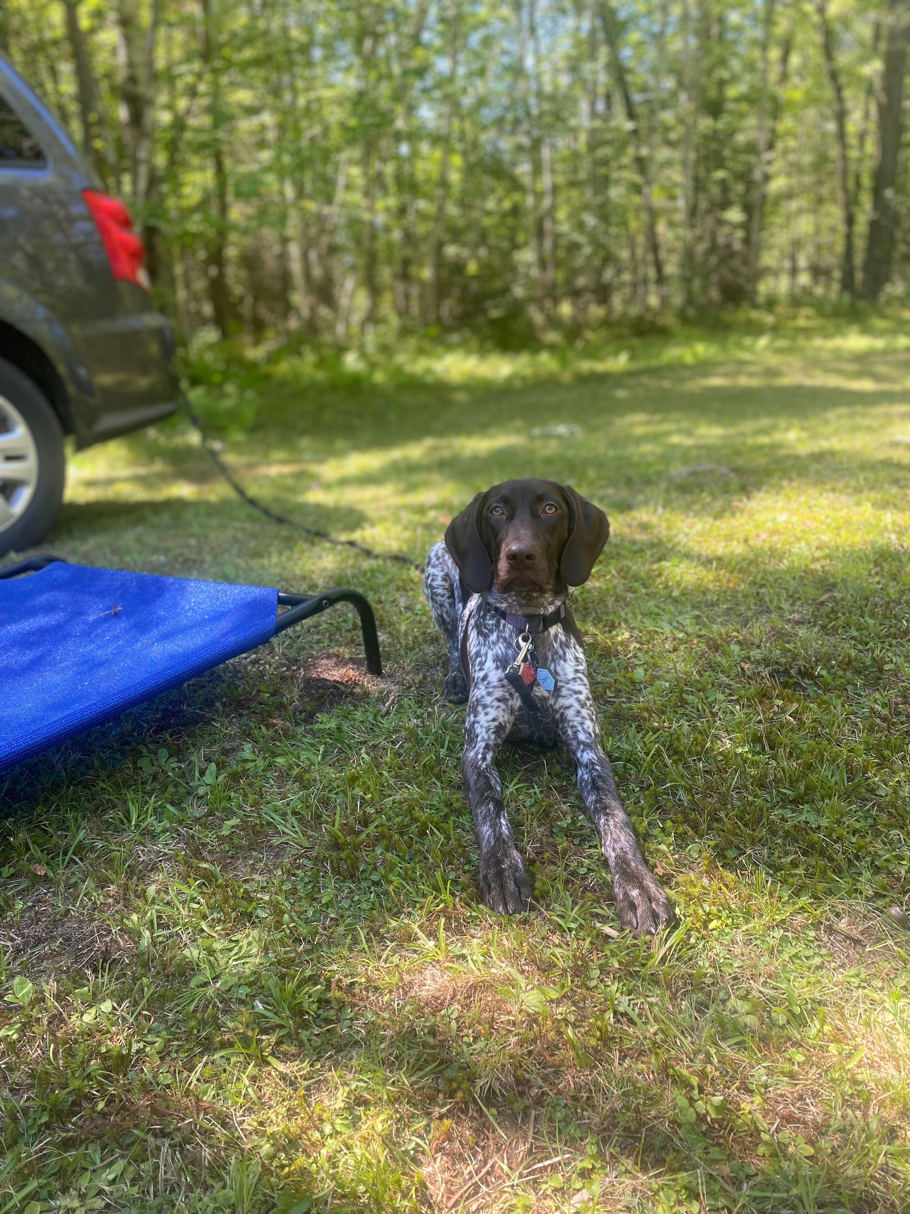 Livin’ the Mökki Life