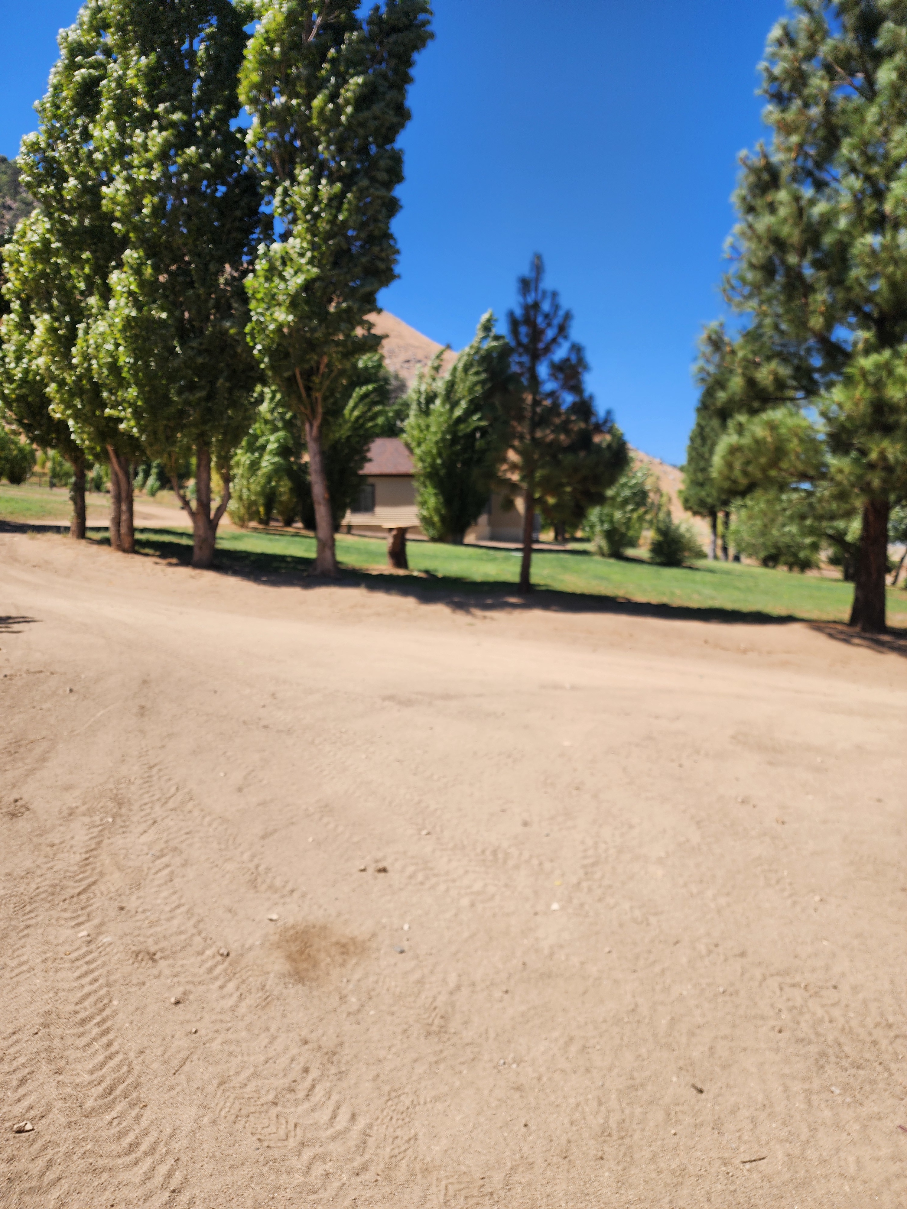 The 395 Ranch,  Seclusion & Views!